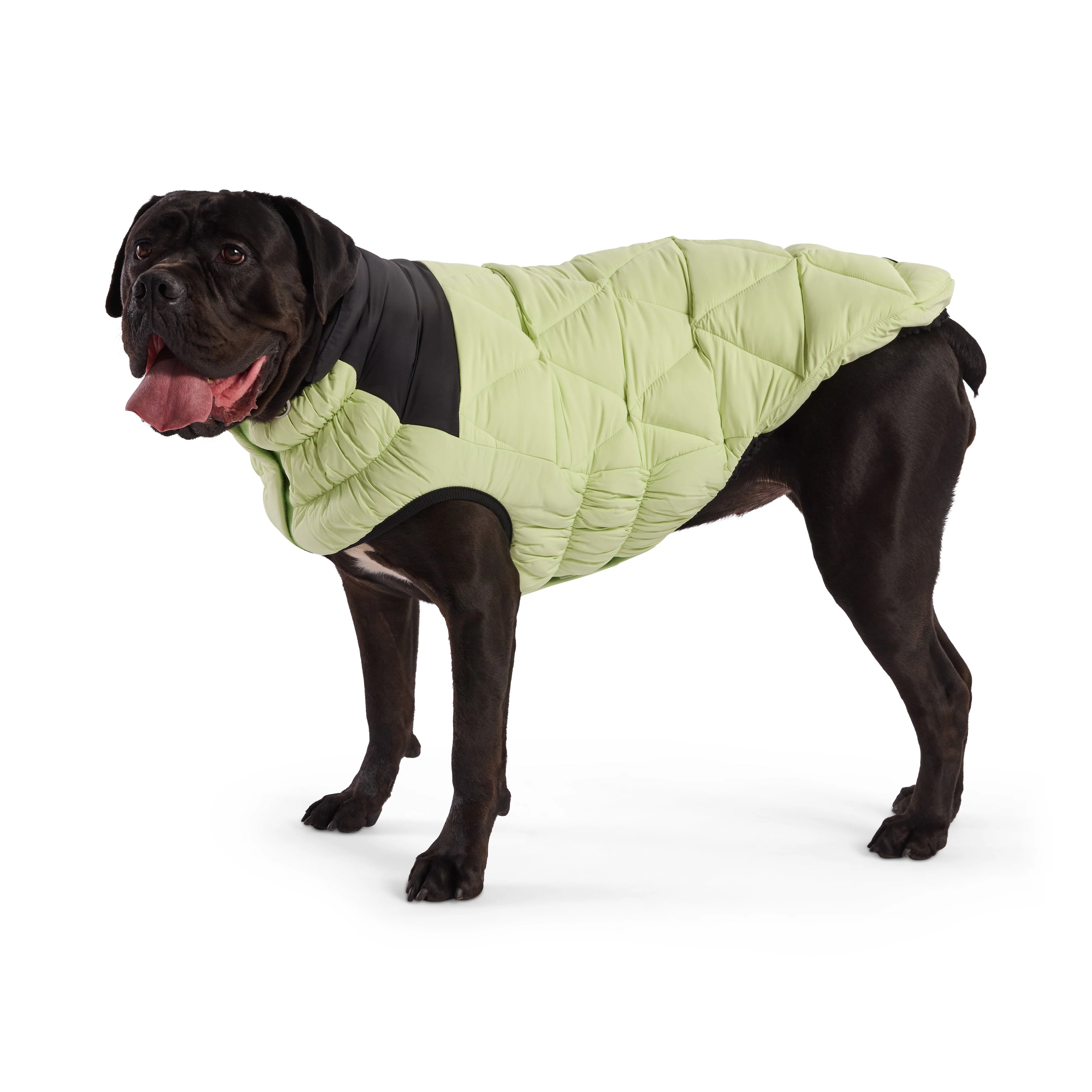 Diamond Puffer - Image 14