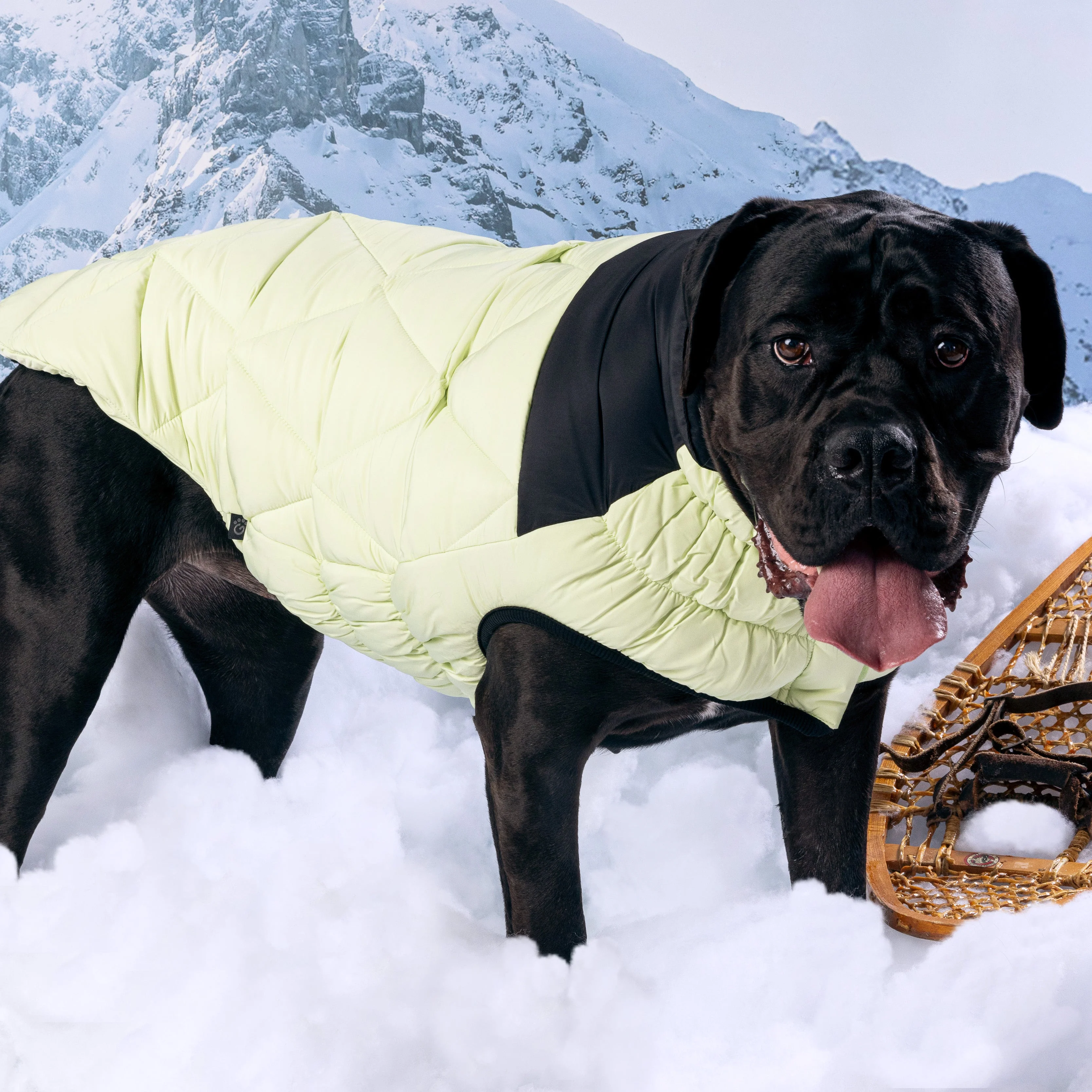 Diamond Puffer - Image 16