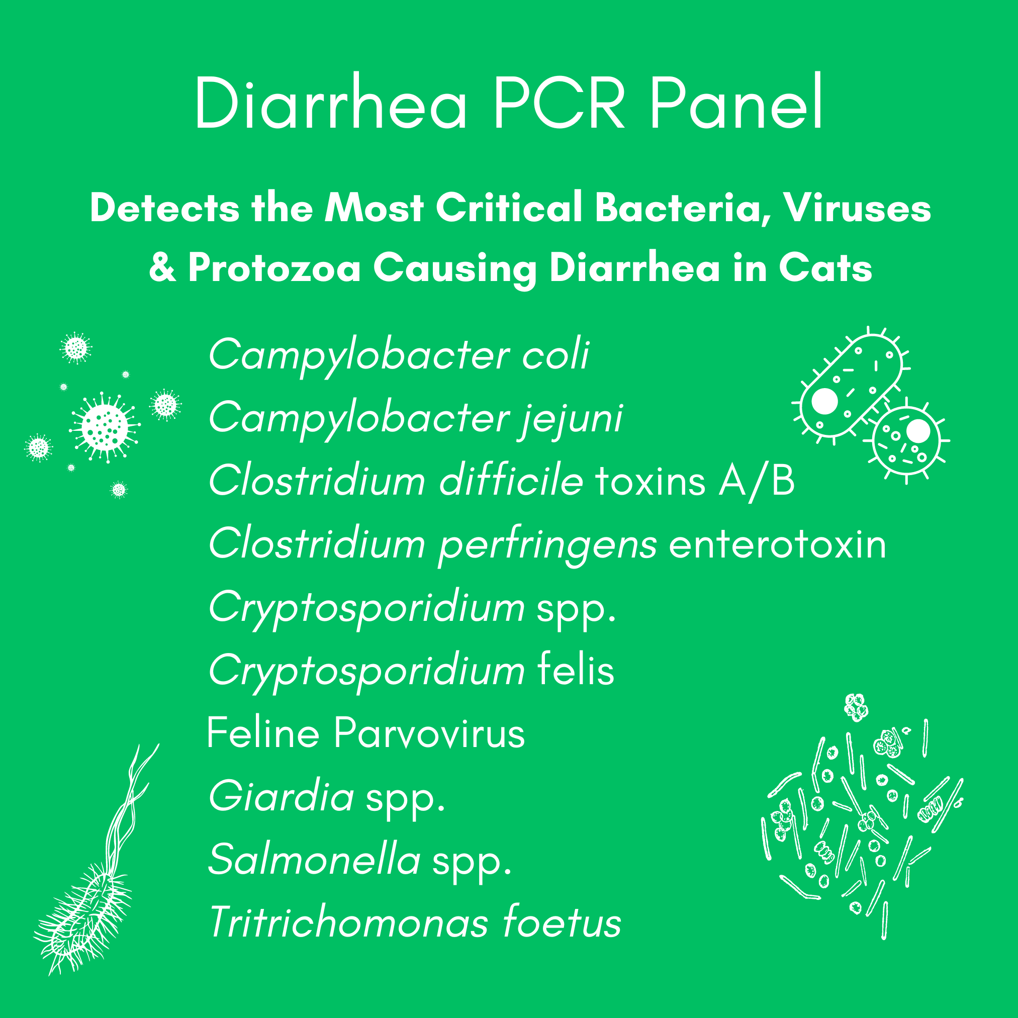 Diarrhea Check Mail-In Test for Cats (PCR): At-Home Testing - Image 3