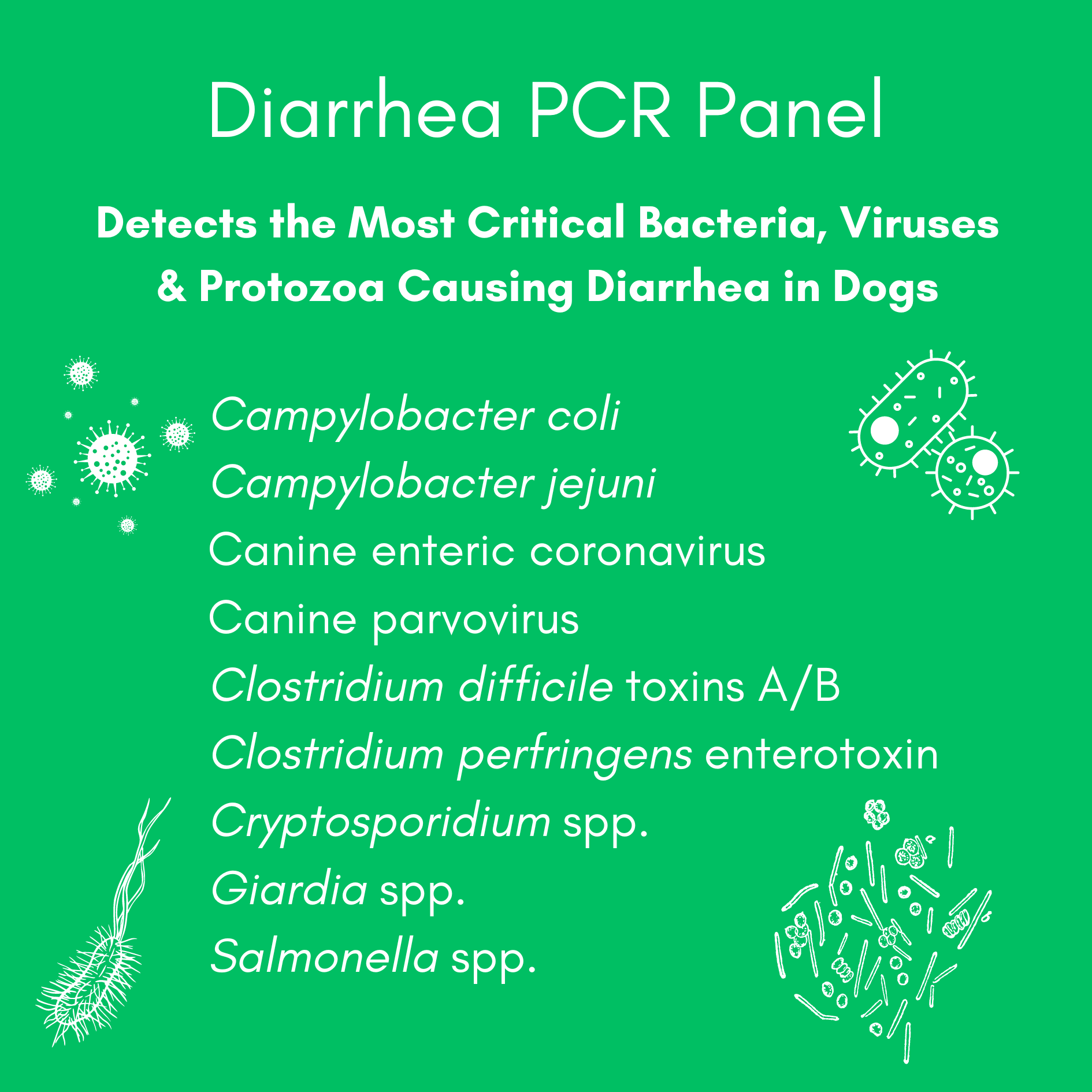 Diarrhea Check Mail-In Test for Dogs (PCR): At-Home Testing - Image 3