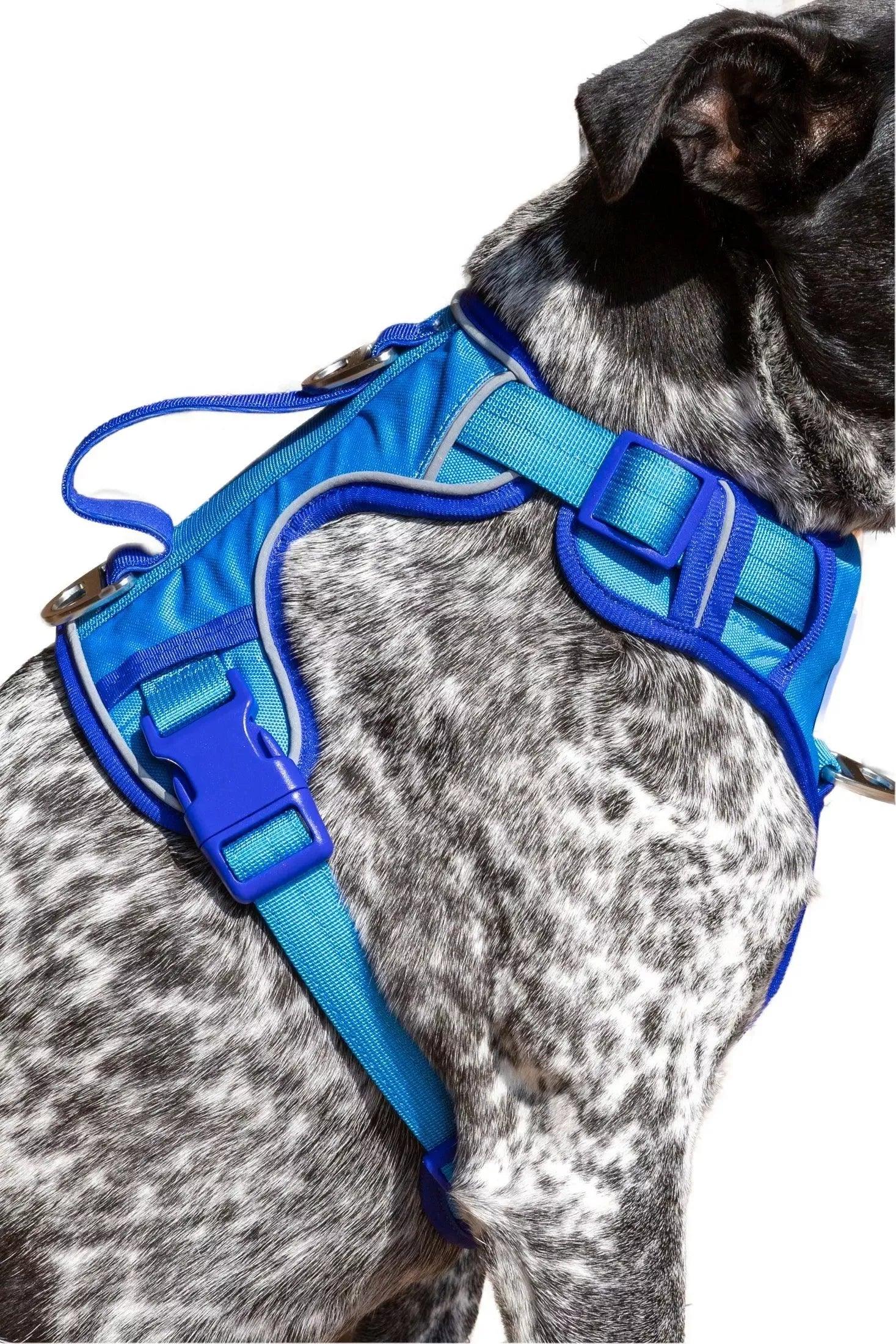 Dockside Adventures Ultimate Harness - Image 6