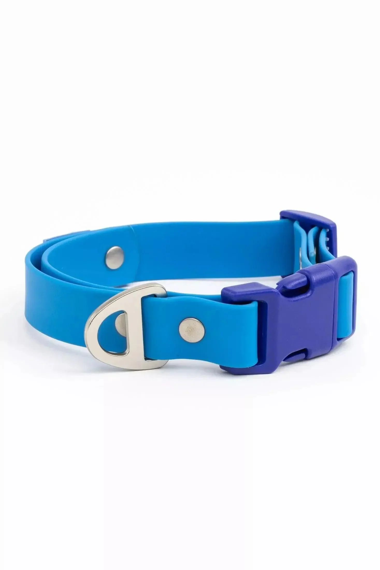 Dockside Adventures Waterproof Dog Collar - Image 5