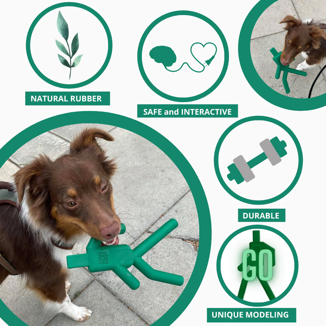 Dog Chew Toy - Image 2