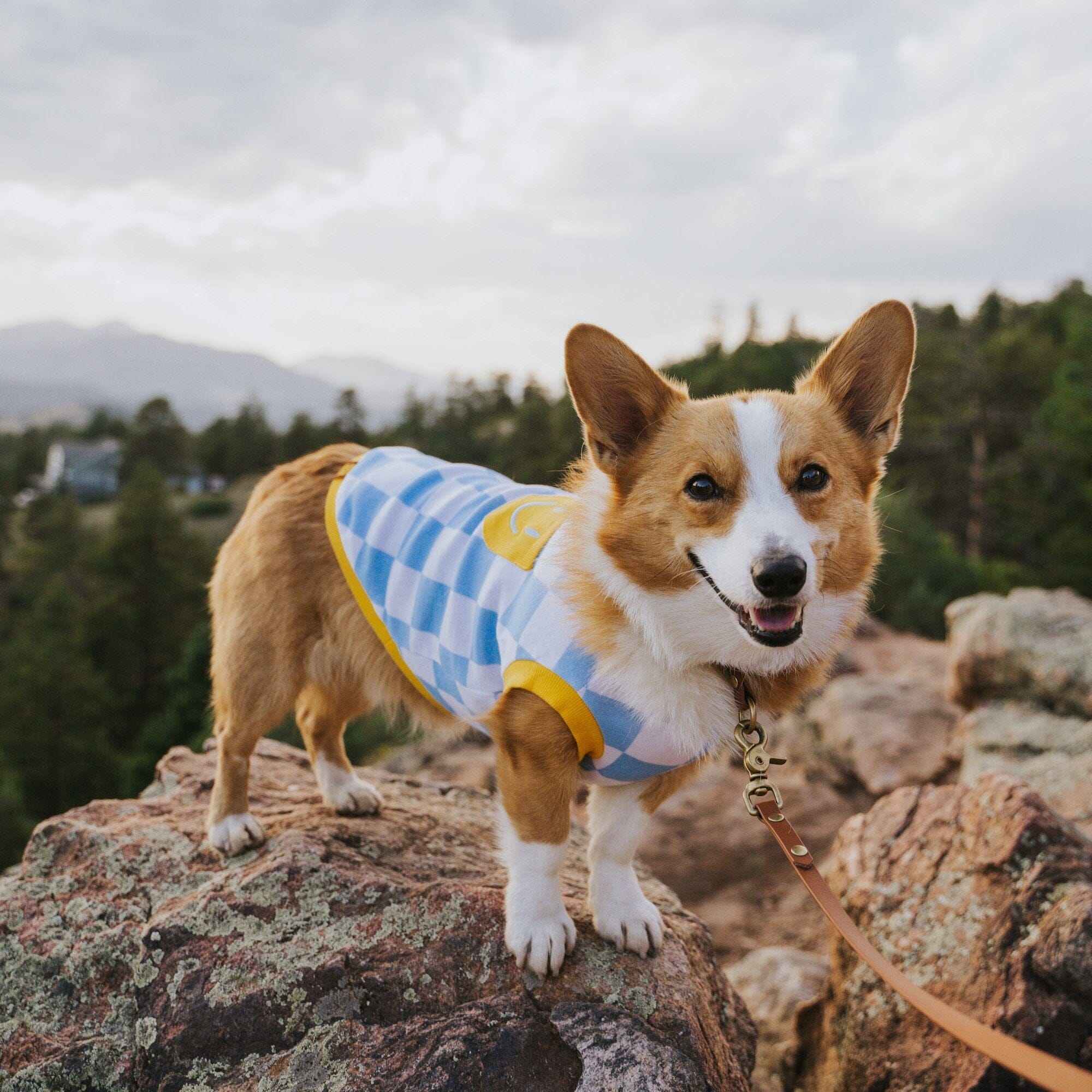 Dog Cotton Smiley Tee - Image 2