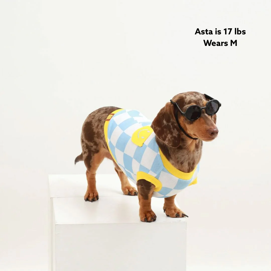 Dog Cotton Smiley Tee - Image 5