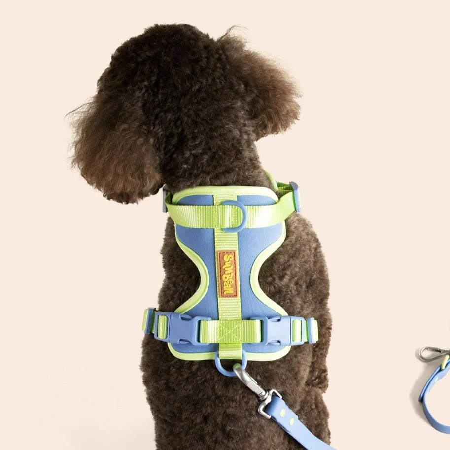 Dog Harness - Image 5