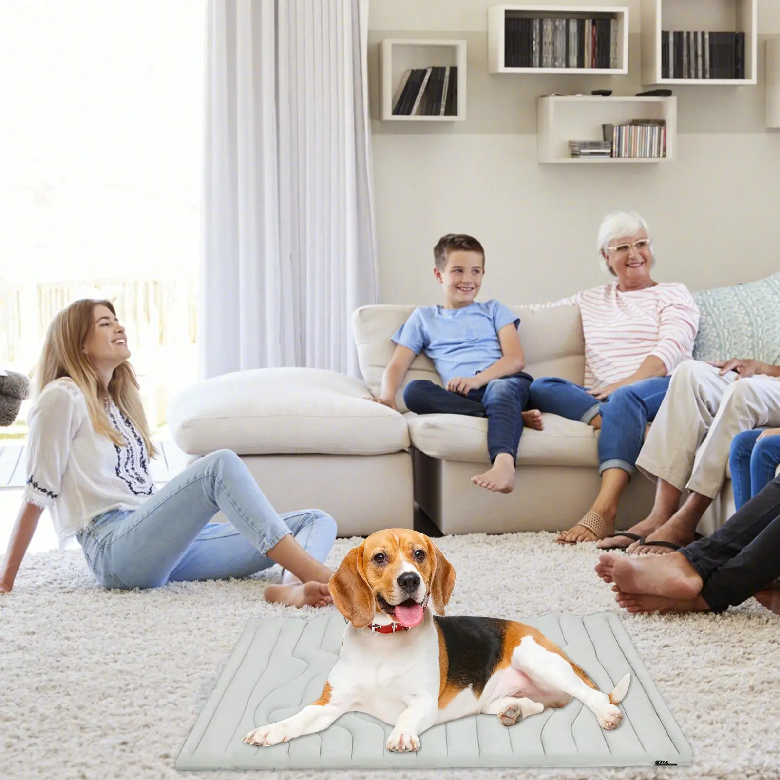 Dog Ice Mat Double-Sided Cooler Dog Mat Gentle Wear Resistant Pet Ice Pad - Image 4