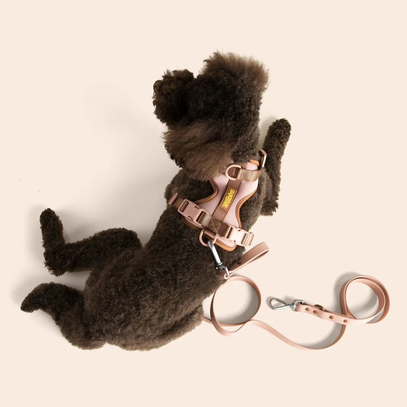 Dog Leash - Image 4