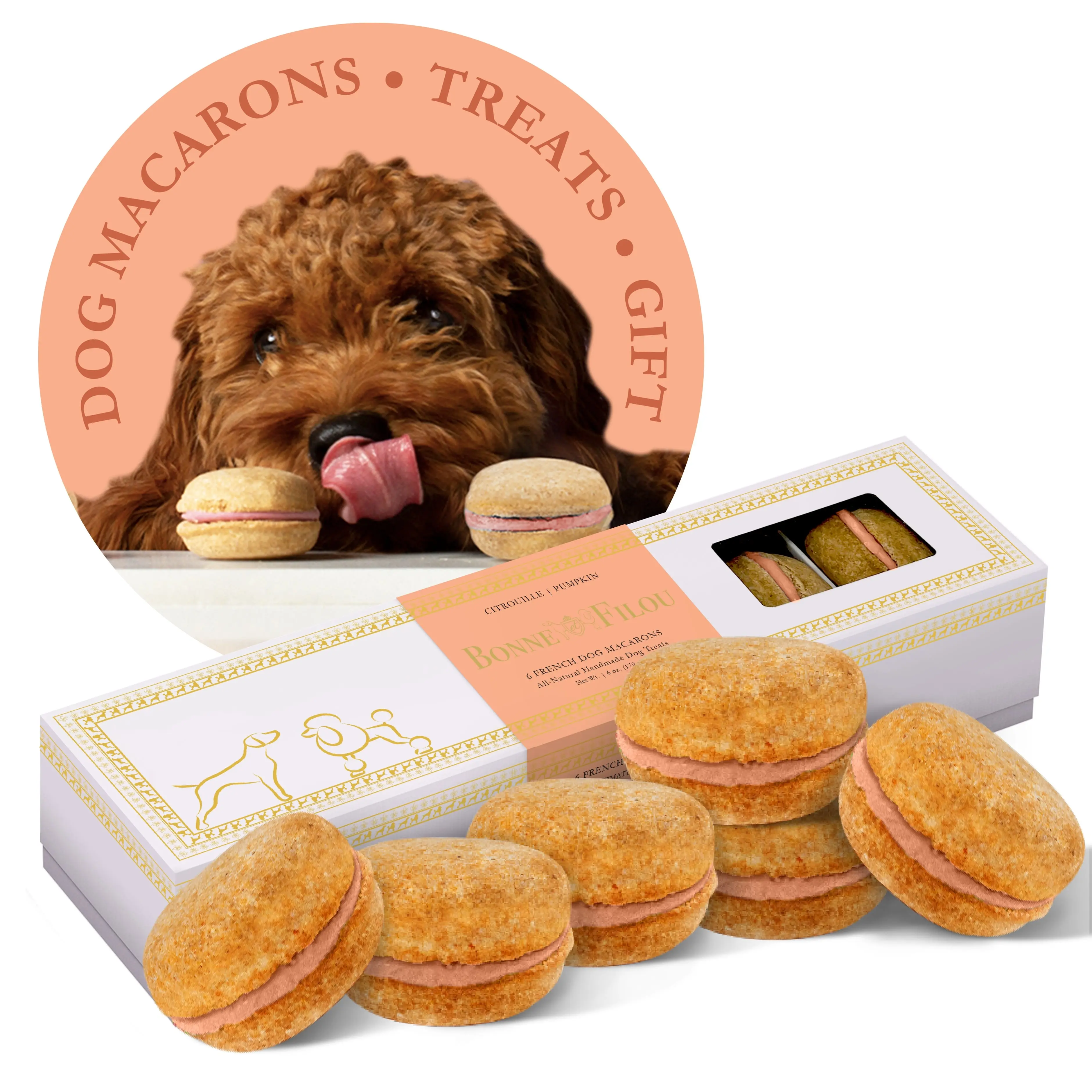 Dog Macarons (Box of 6) - Image 3