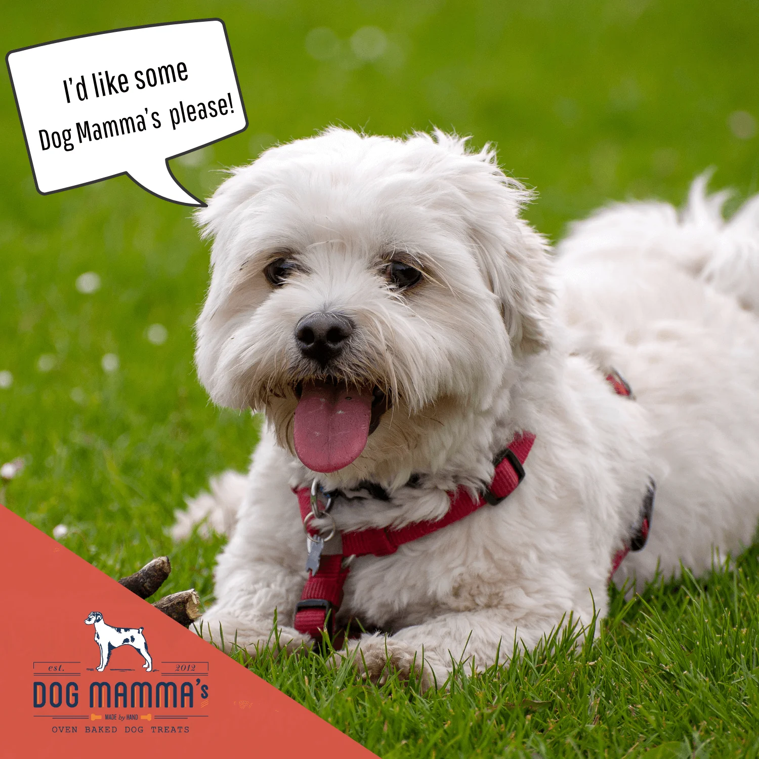 Dog Mamma's Organic Apple Cranberry Recipe - USDA Organic Certified Dog Treats - Image 10