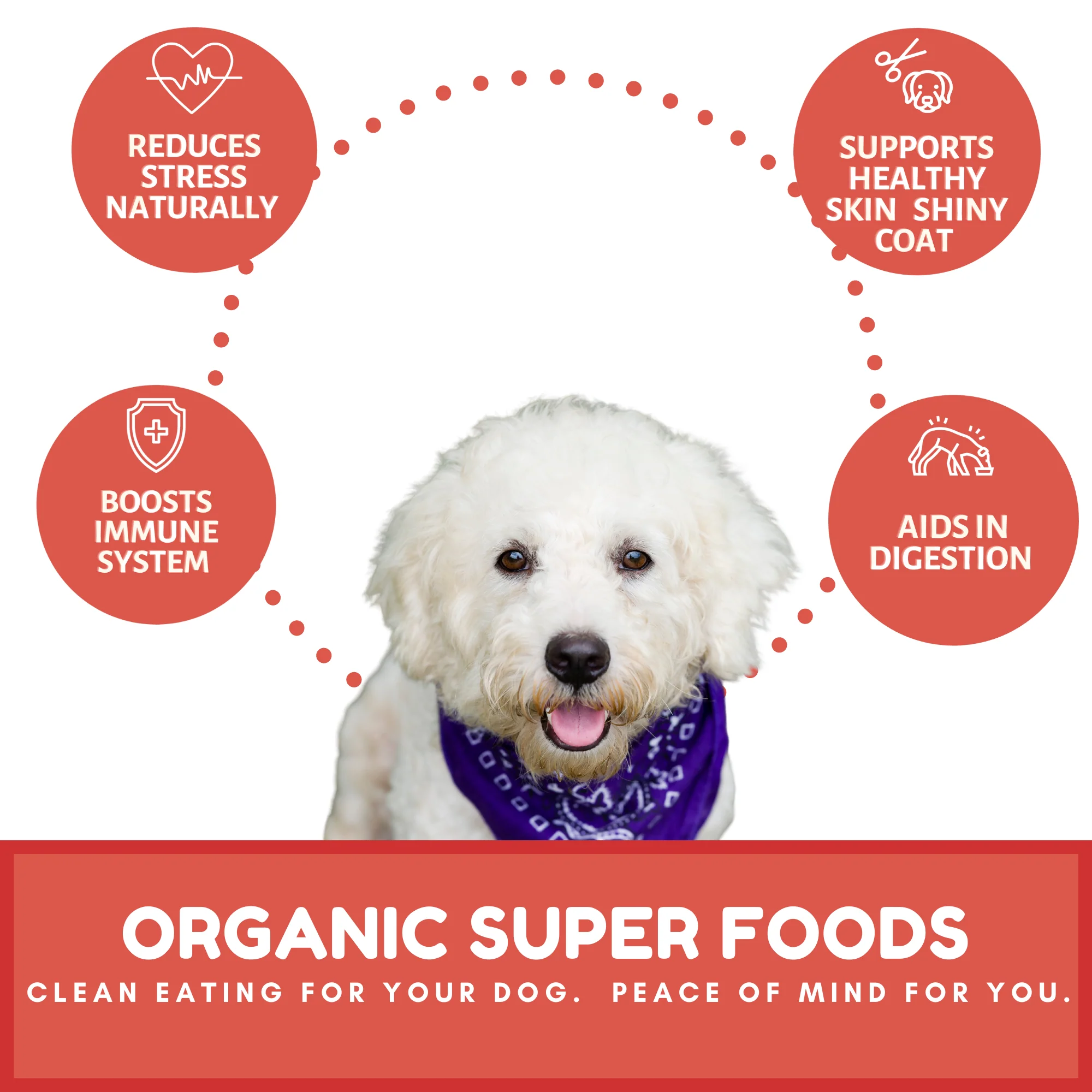 Dog Mamma's Organic Apple Cranberry Recipe - USDA Organic Certified Dog Treats - Image 4