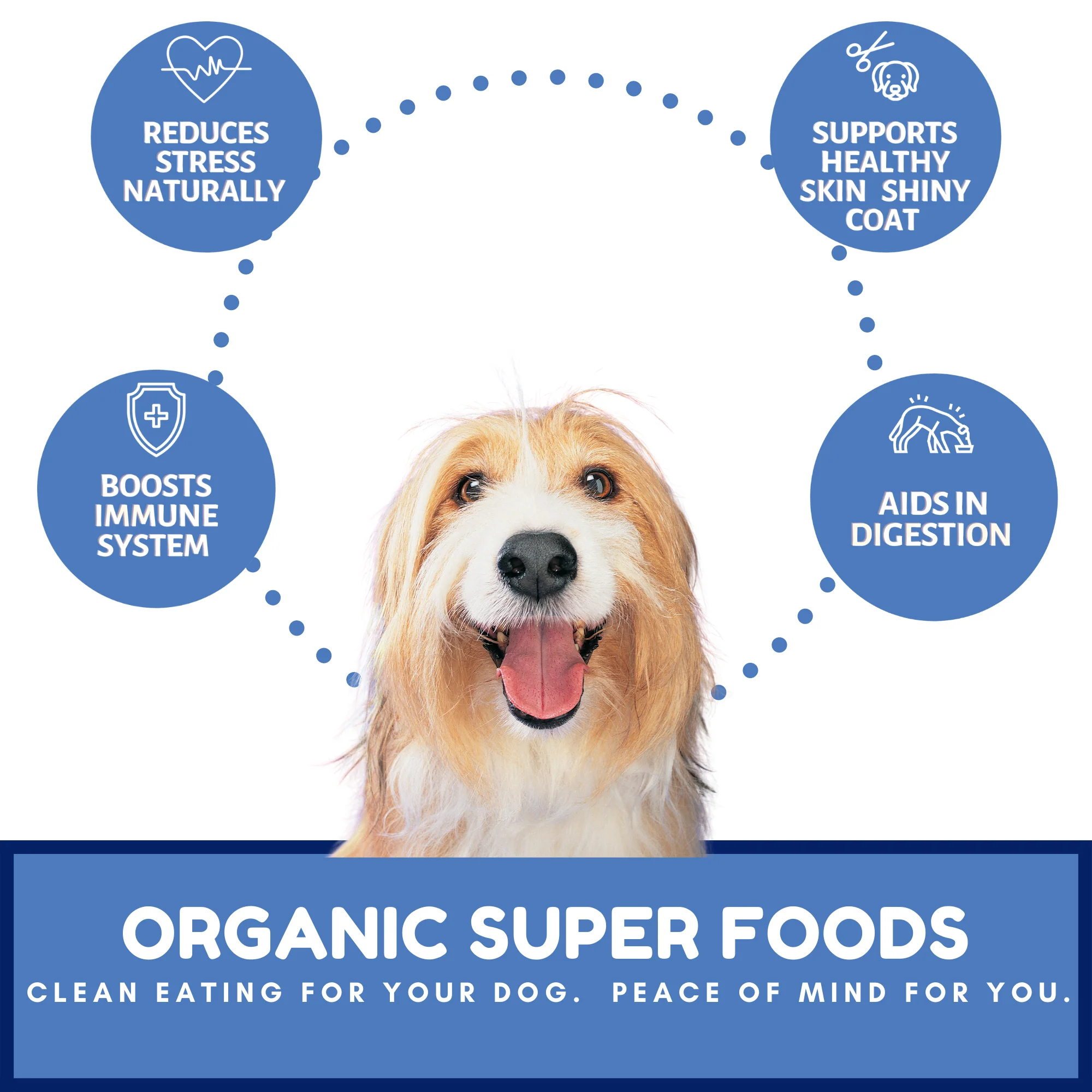 Dog Mamma's Organic Berry Banana Coconut Recipe - USDA Organic Certified Dog Treats - Image 4