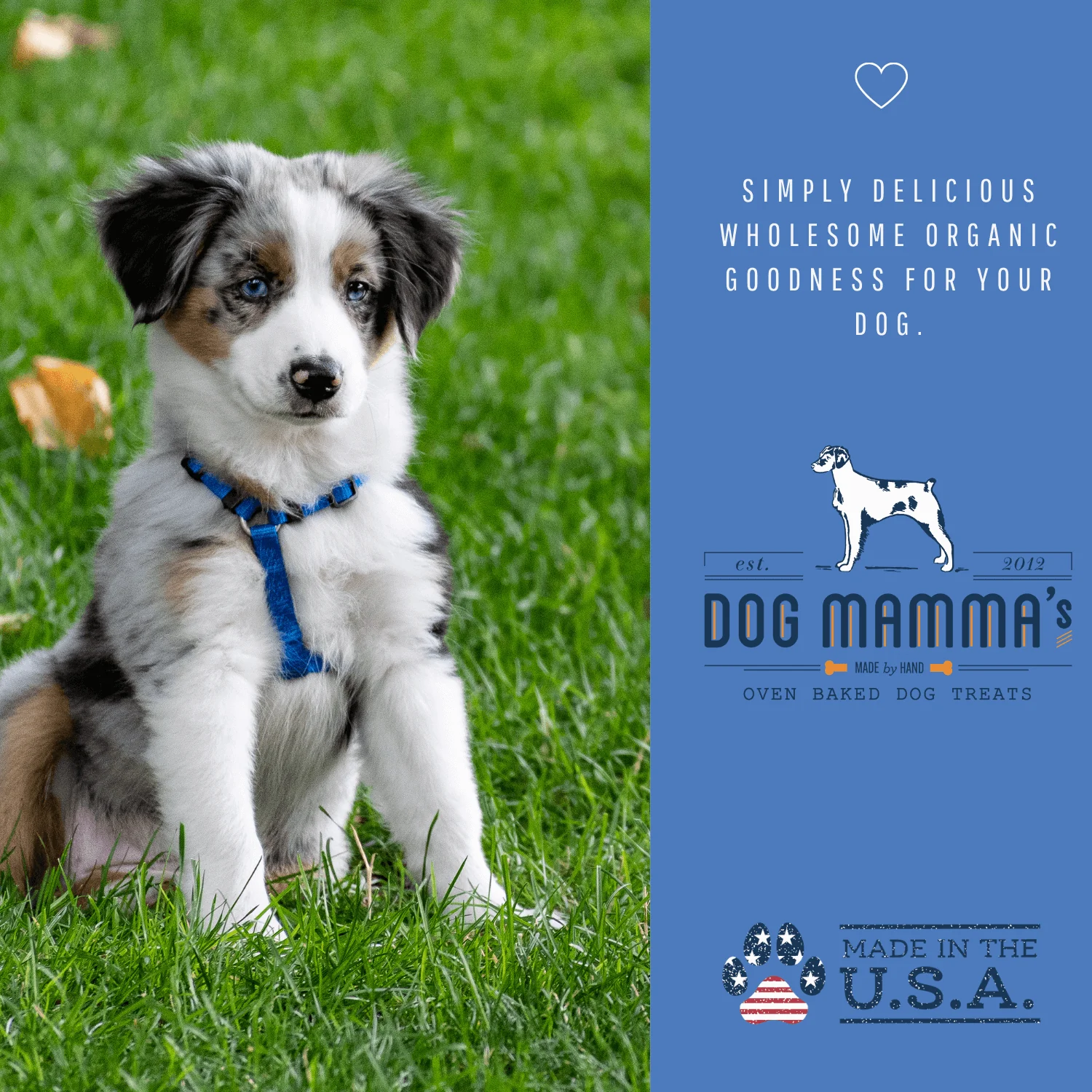 Dog Mamma's Organic Berry Banana Coconut Recipe - USDA Organic Certified Dog Treats - Image 9