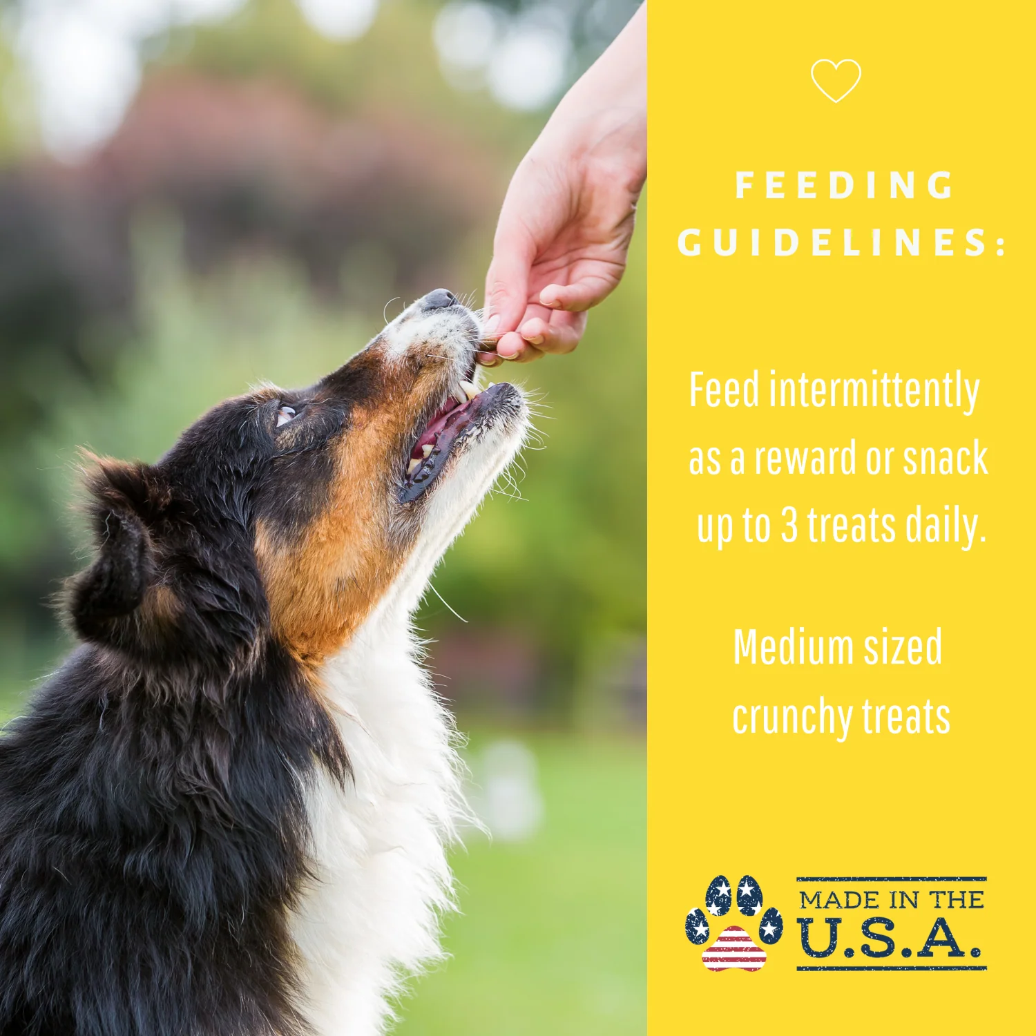 Dog Mamma's Organic Peanut Butter Banana Recipe - USDA Organic Certified Dog Treats - Image 10