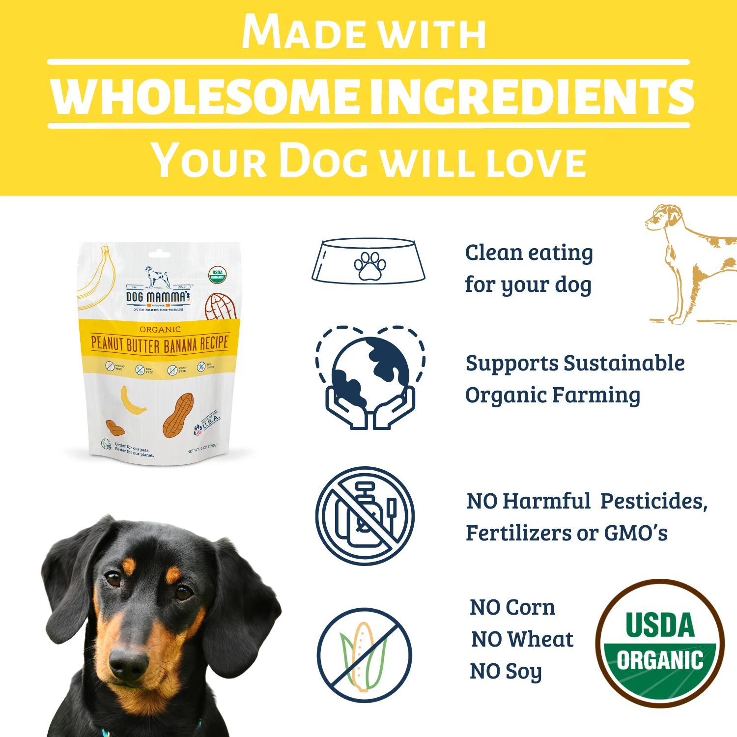 Dog Mamma's Organic Peanut Butter Banana Recipe - USDA Organic Certified Dog Treats - Image 3