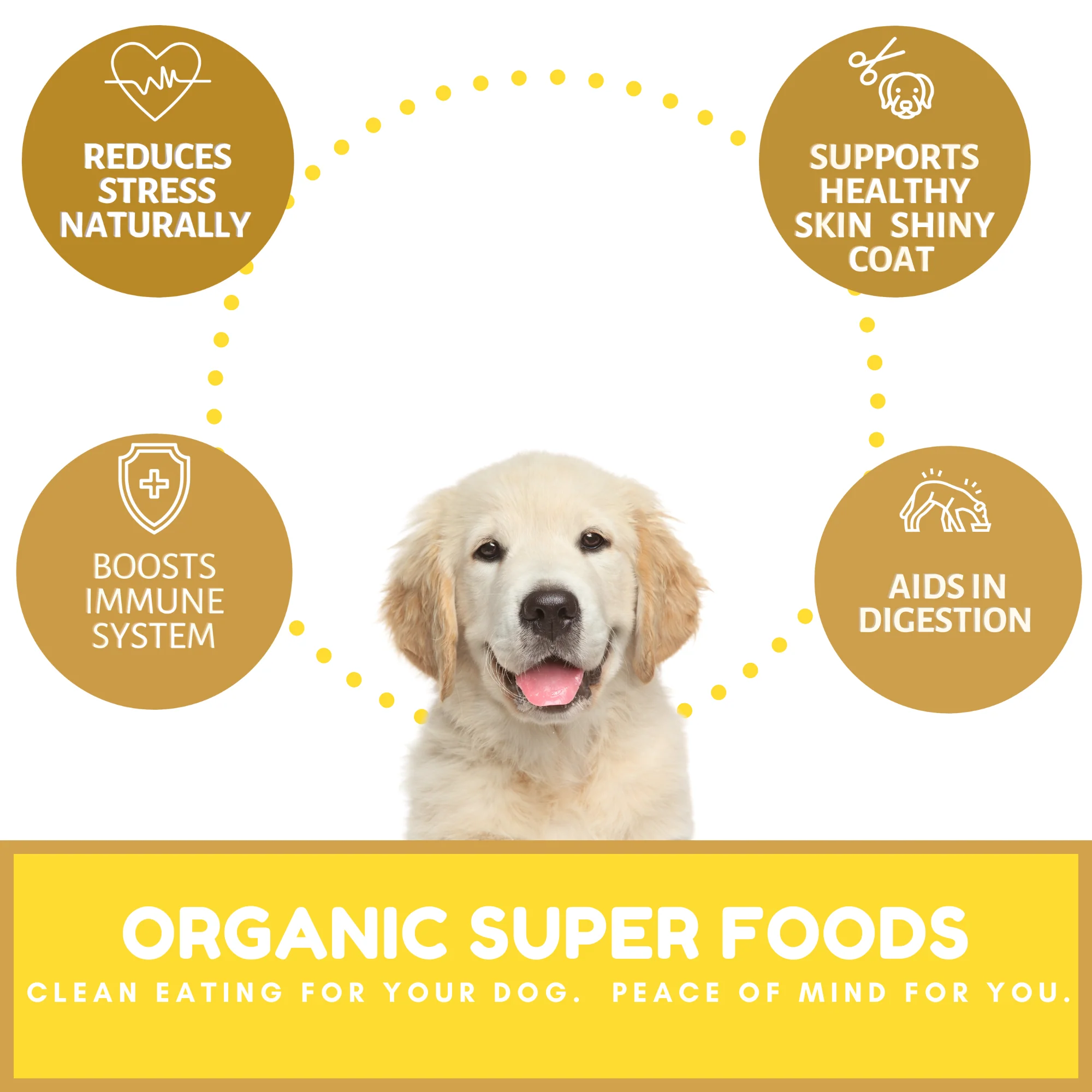 Dog Mamma's Organic Peanut Butter Banana Recipe - USDA Organic Certified Dog Treats - Image 5