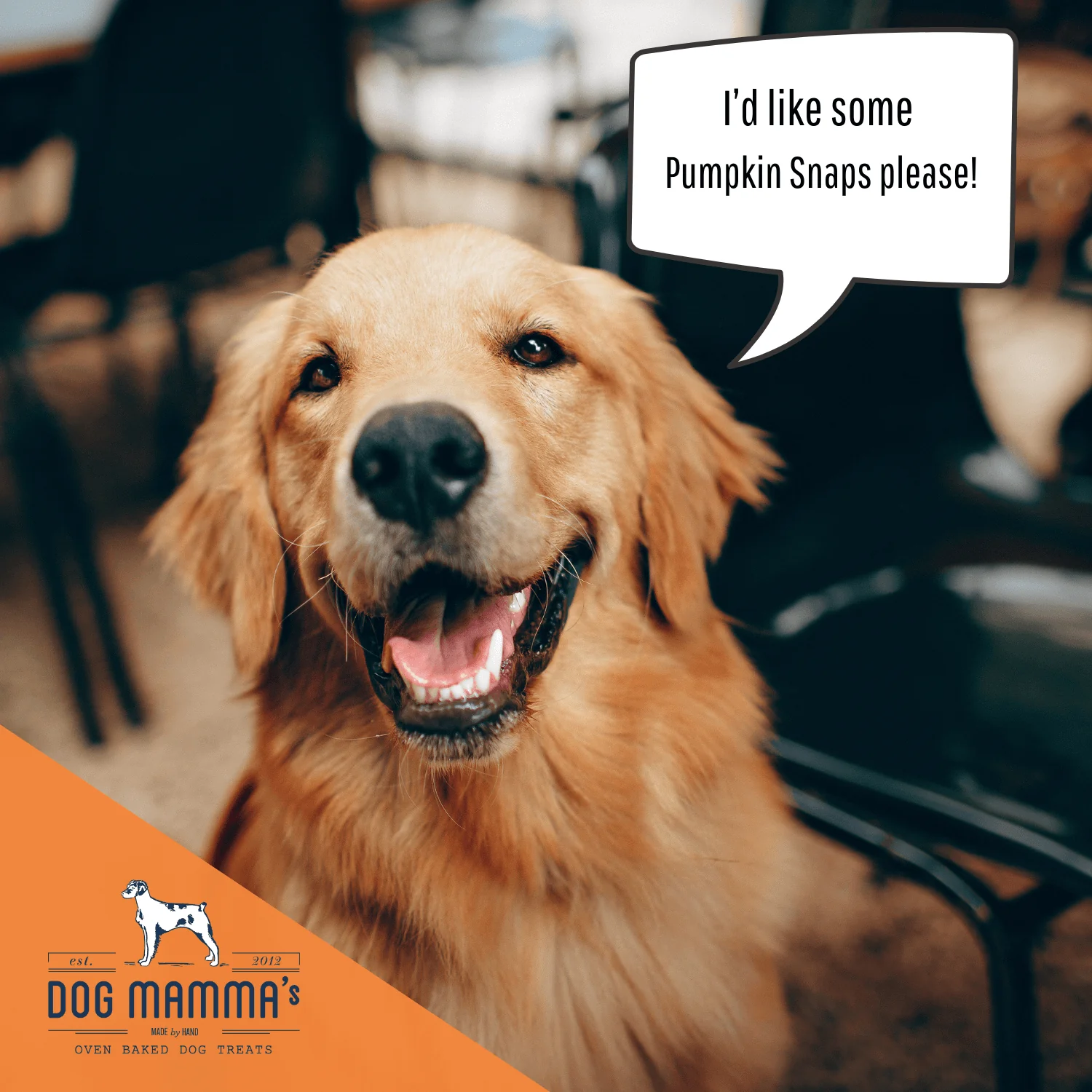 Dog Mamma's Organic Pumpkin Snaps Recipe- USDA Organic Certified Dog Treats - Image 10