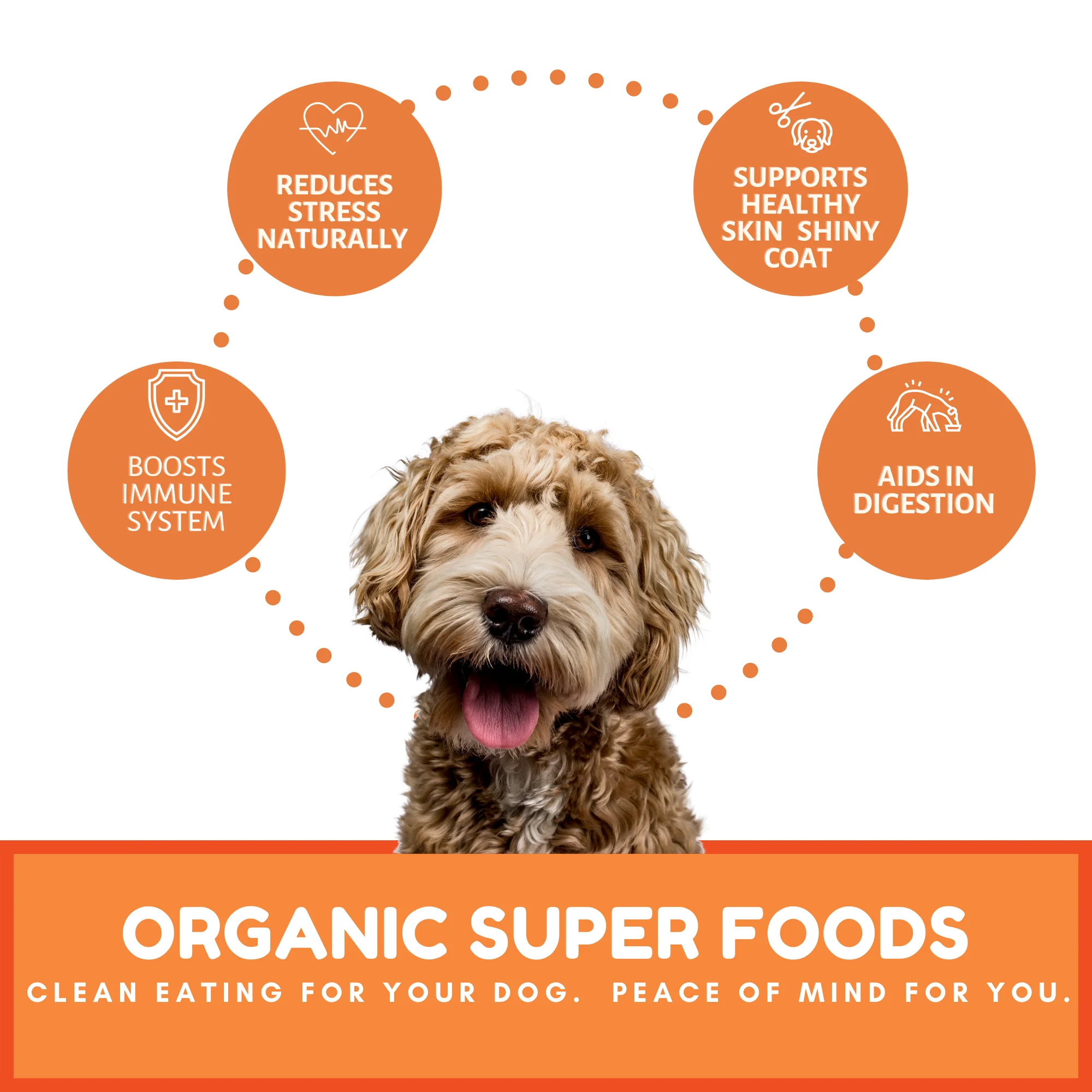 Dog Mamma's Organic Pumpkin Snaps Recipe- USDA Organic Certified Dog Treats - Image 4