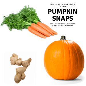 Dog Mamma's Organic Pumpkin Snaps Recipe- USDA Organic Certified Dog Treats - Image 9