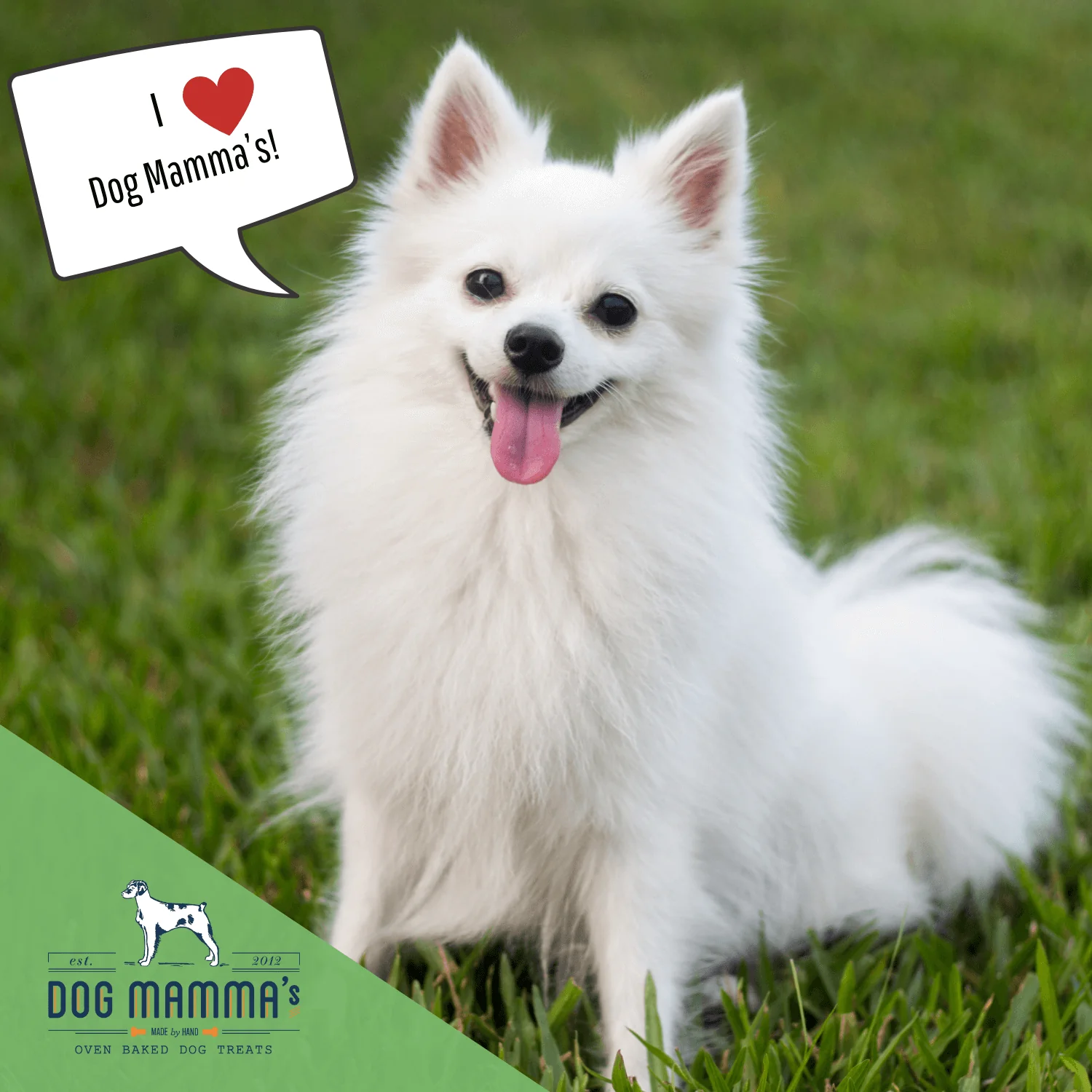 Dog Mamma's Organic Sweet Potato & Kale Recipe - USDA Organic Certified Dog Treats - Image 10