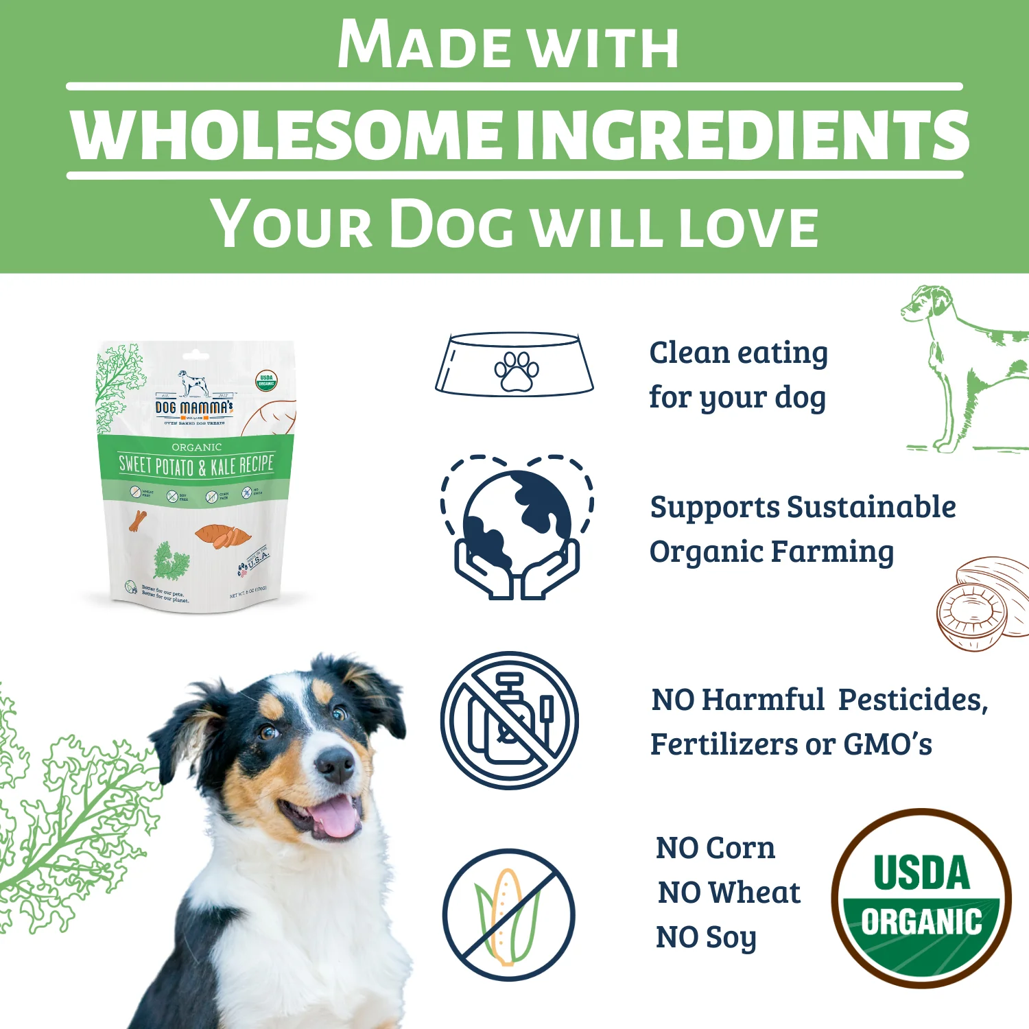 Dog Mamma's Organic Sweet Potato & Kale Recipe - USDA Organic Certified Dog Treats - Image 3