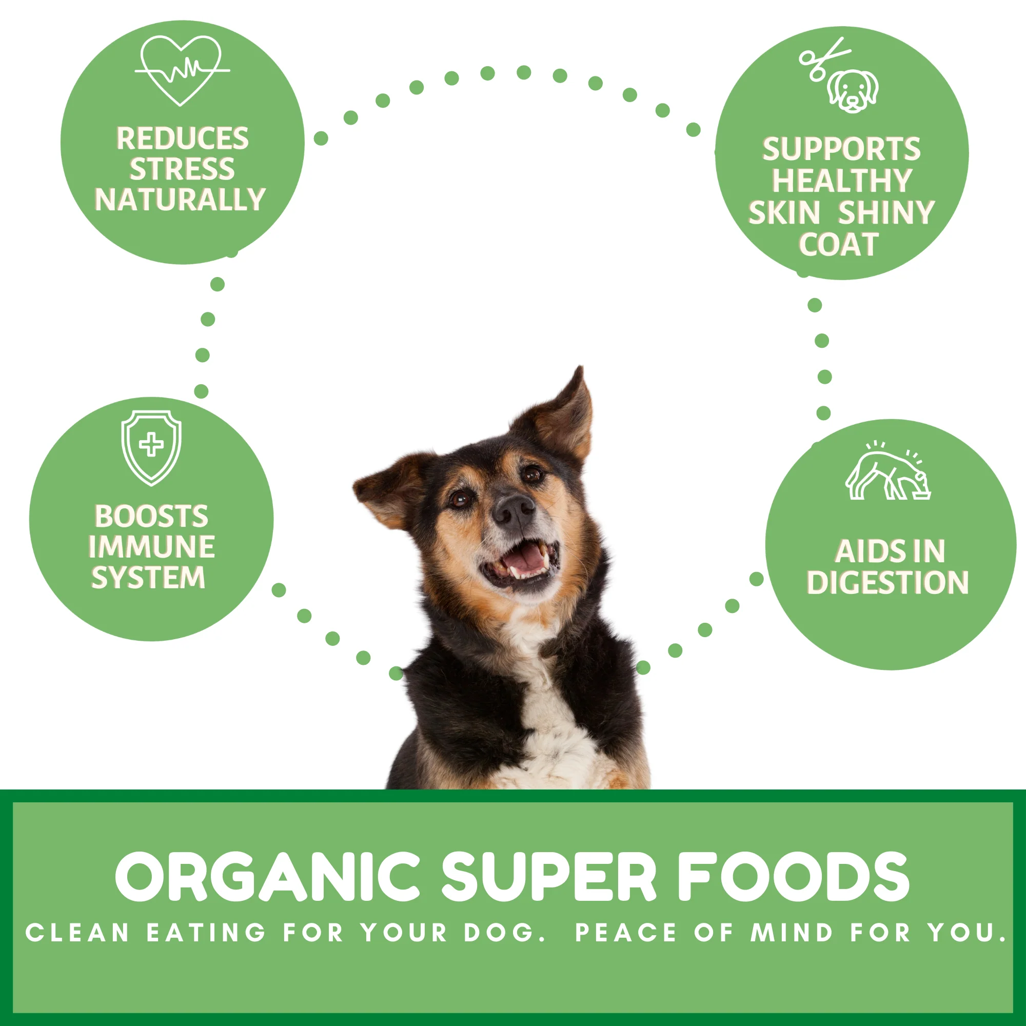 Dog Mamma's Organic Sweet Potato & Kale Recipe - USDA Organic Certified Dog Treats - Image 4