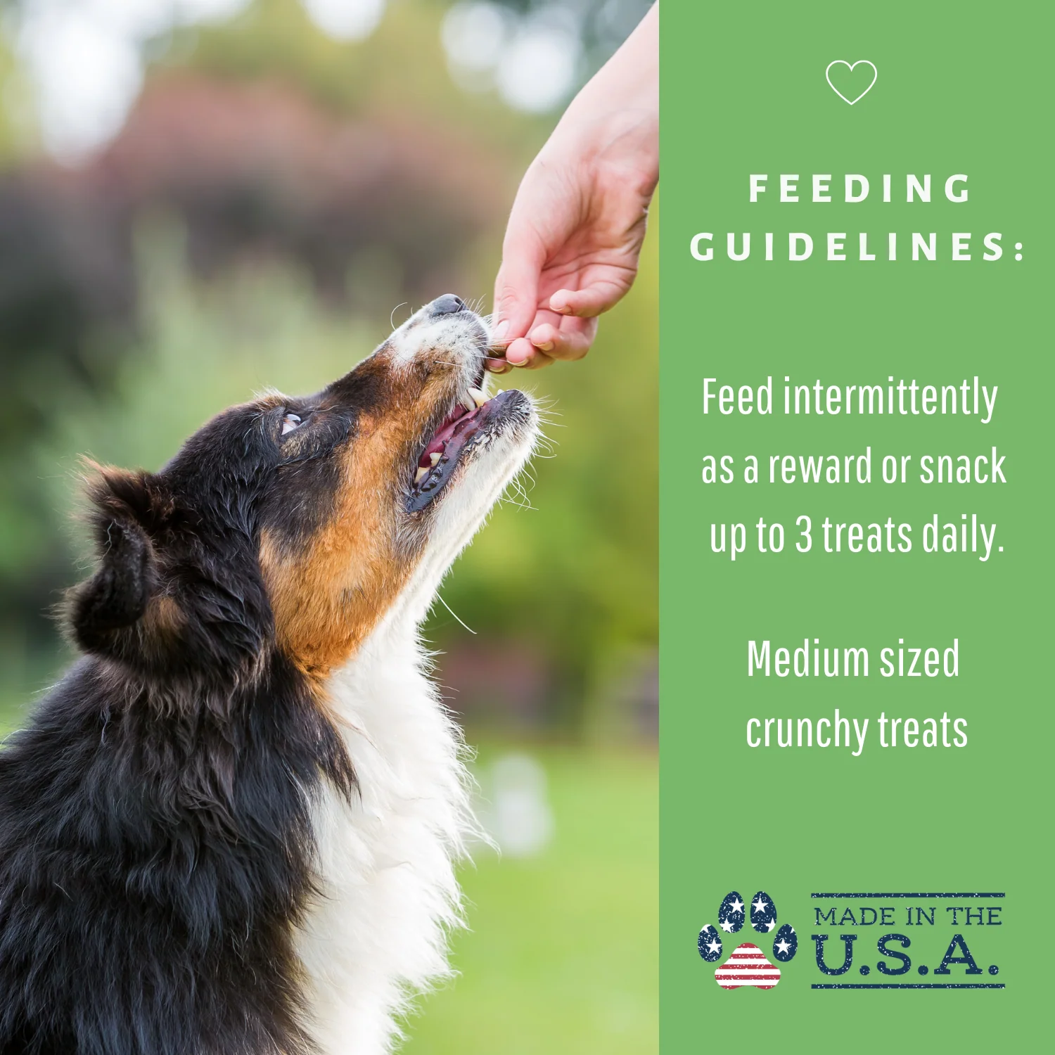 Dog Mamma's Organic Sweet Potato & Kale Recipe - USDA Organic Certified Dog Treats - Image 8