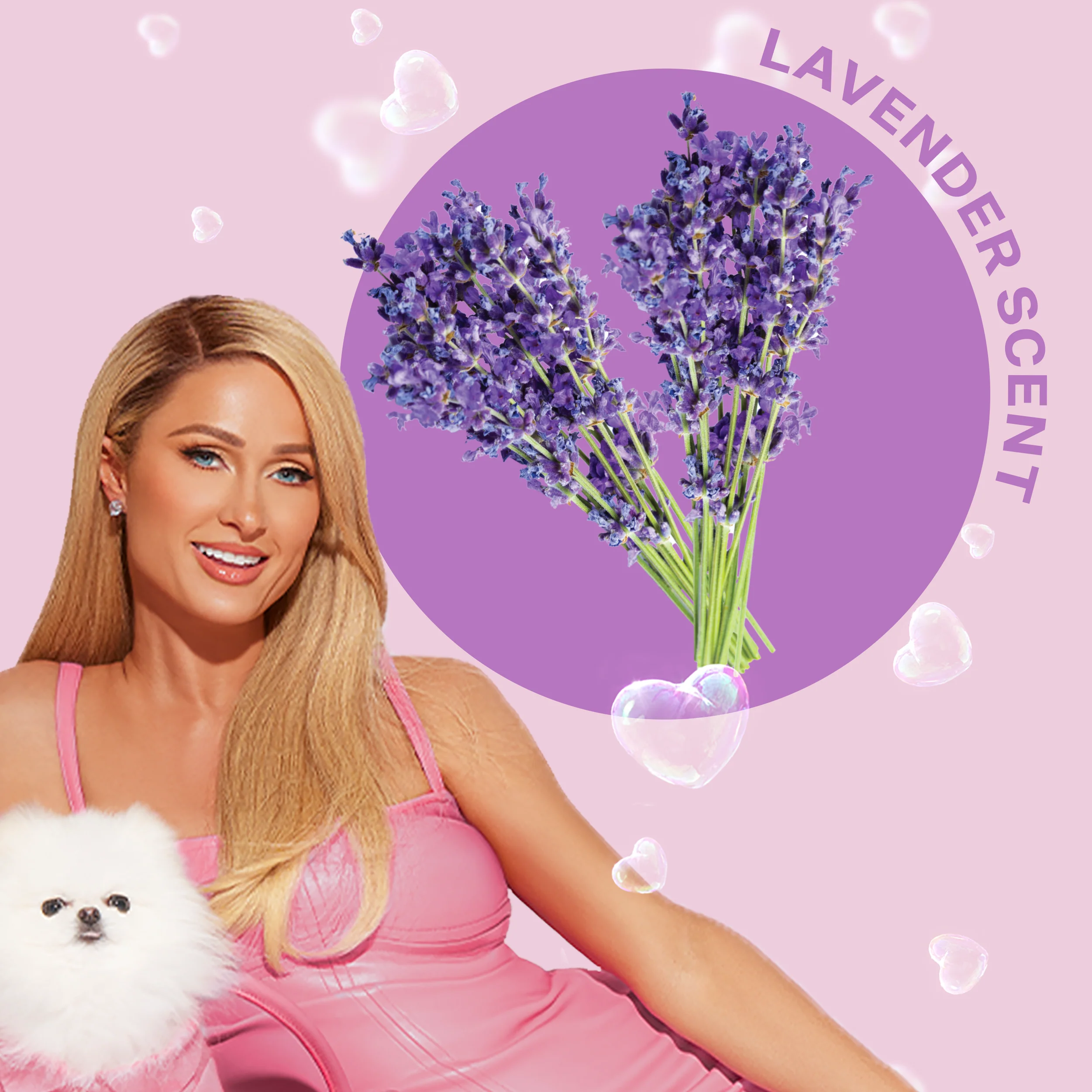 Dog & Pup Shampoo Lavender 480ml - Image 4