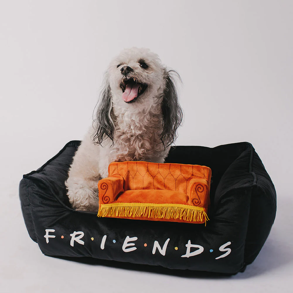 Dog Toy Squeaker Plush - Friends Central Perk Couch - Image 6