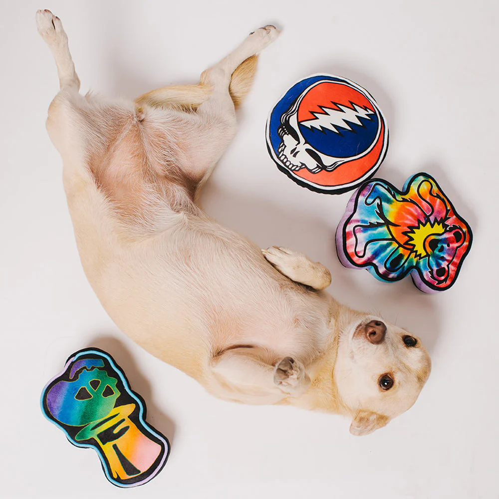 Dog Toy Squeaker Plush - Grateful Dead Dancing Bear Tie Dye Multi Color - Image 3