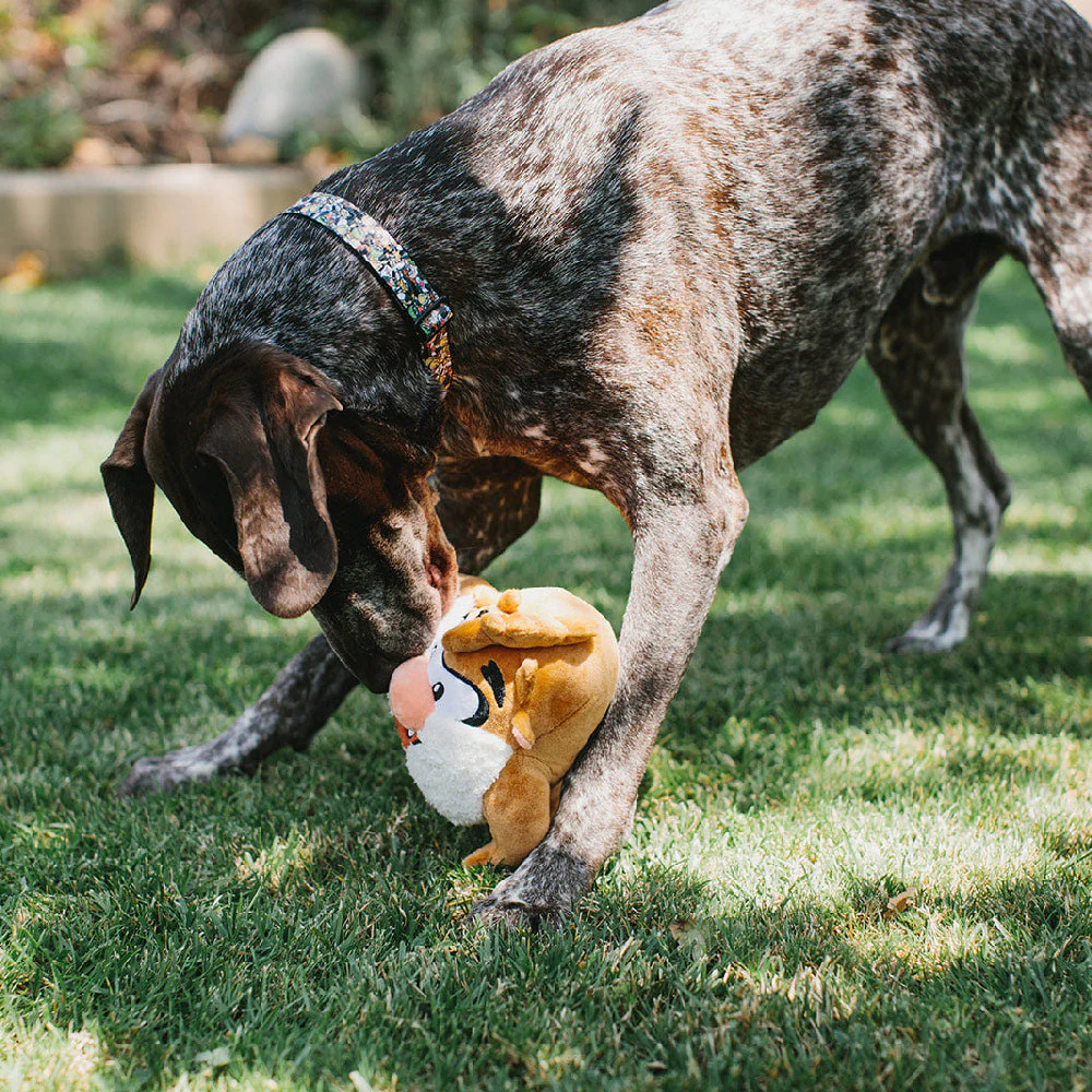 Dog Toy Squeaker Plush - Looney Tunes Taz Full Body - Image 6