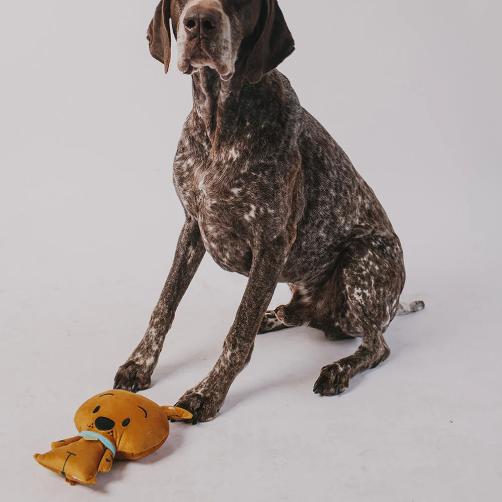 Dog Toy Squeaker Plush - Scooby Doo 3-D Full Body - Image 3