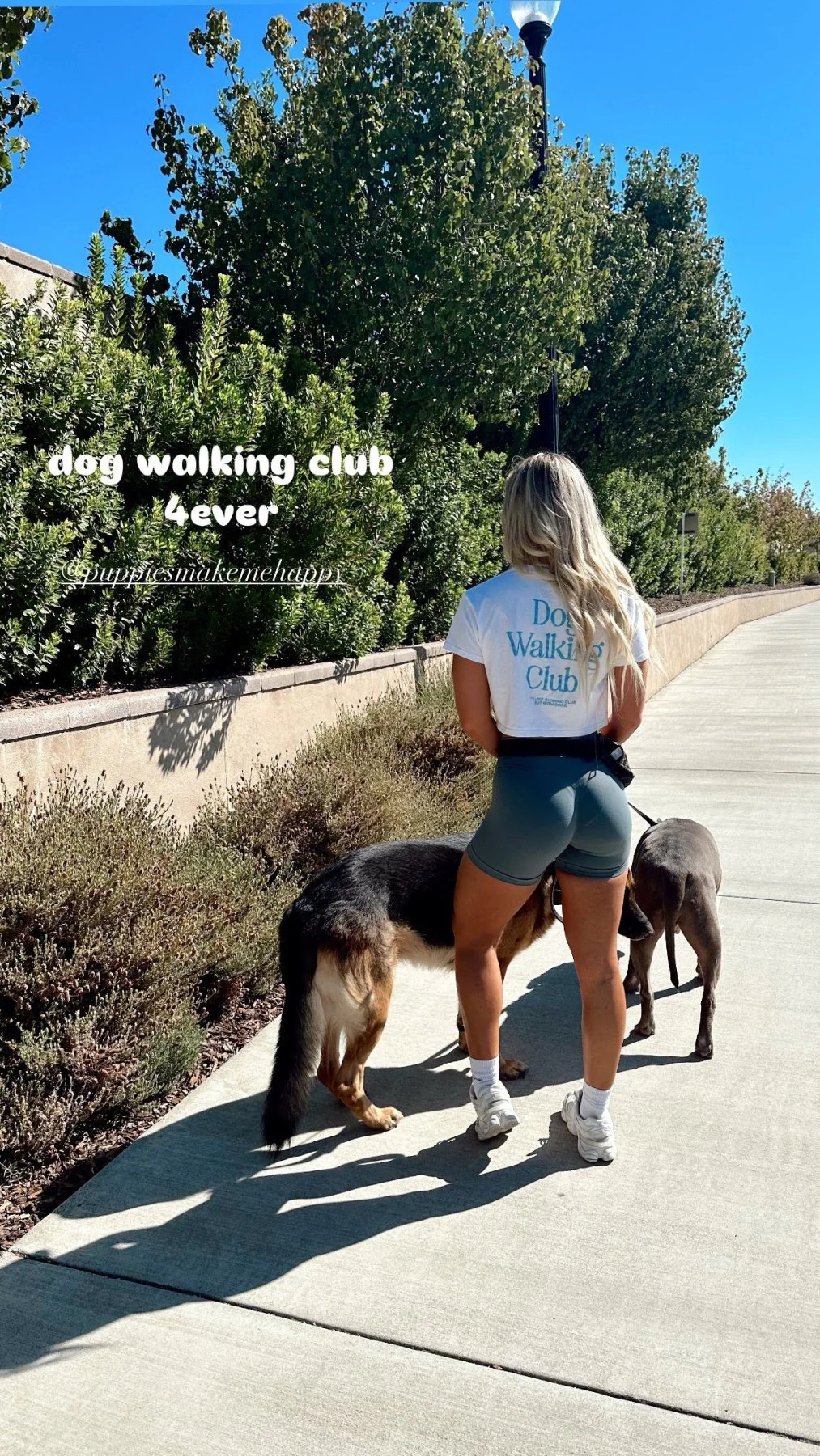 Dog Walking Club Crop Top | Gift for Dog Lovers & Pup Owners - Image 5