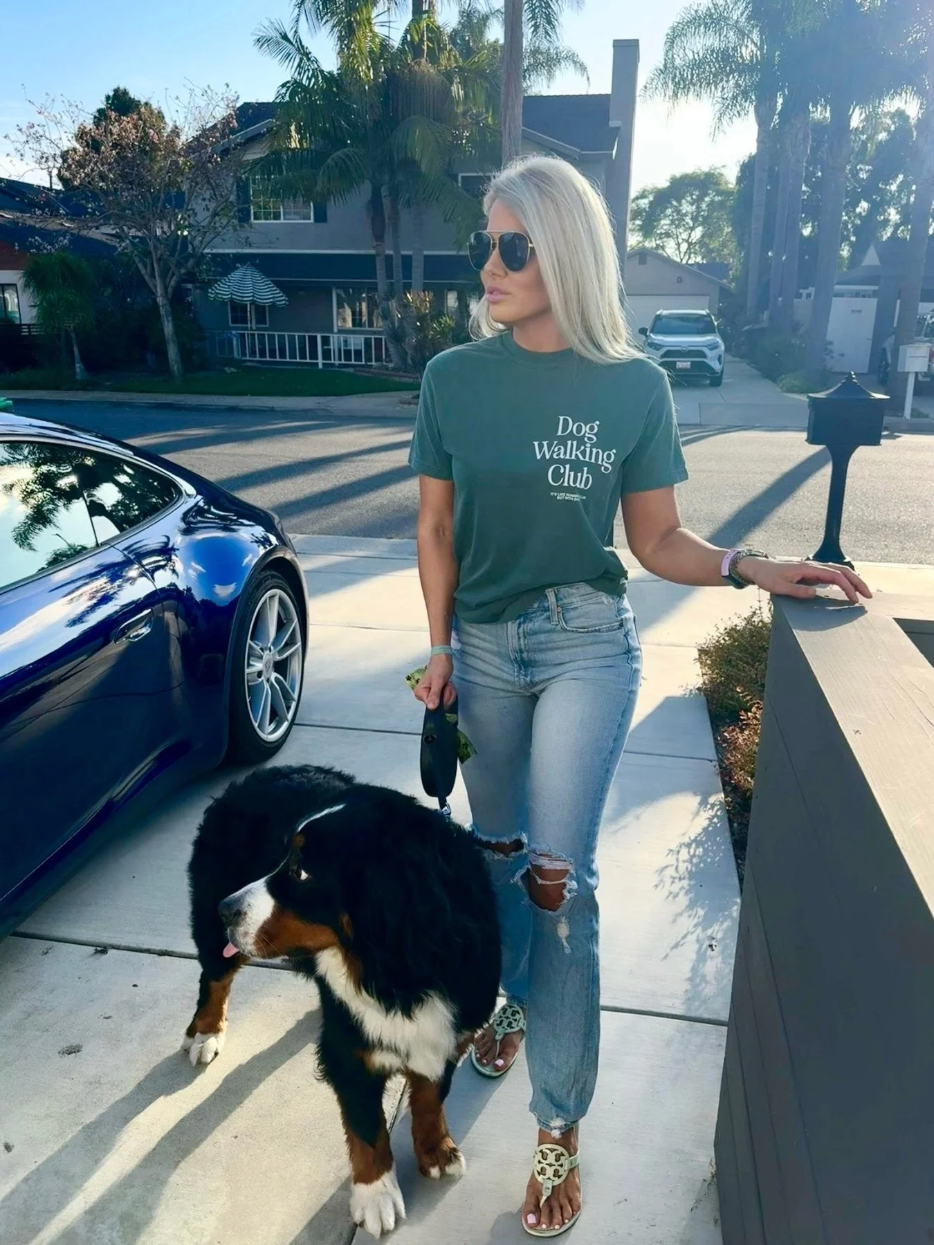 Dog Walking Club T-Shirt | Present for Dog Lovers & Owners - Image 11