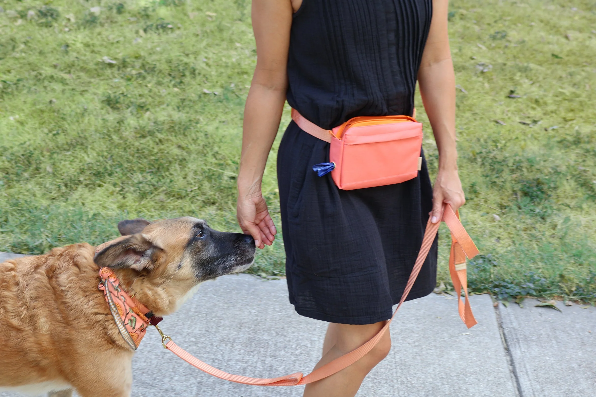 dog walking fanny pack - Image 10