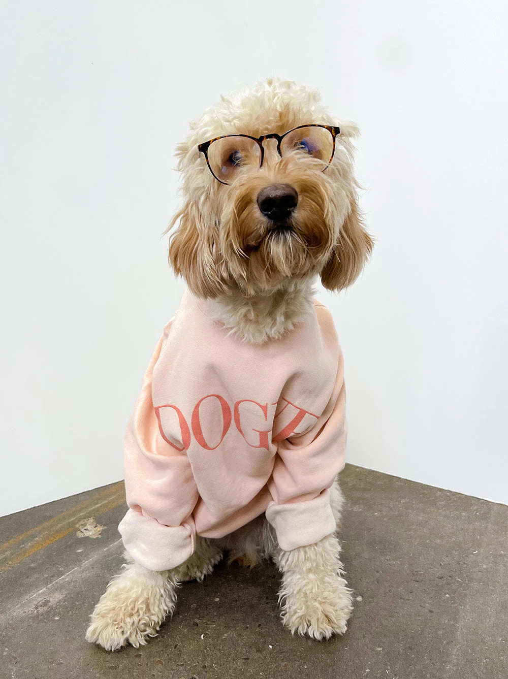 Dogue Crewneck - Image 3