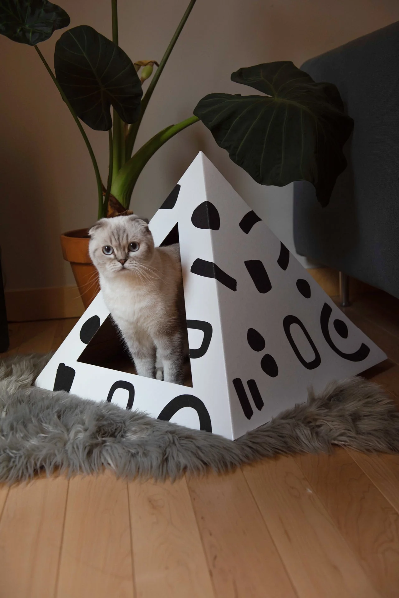'Doodle' Cardboard Cat Pyramid - Image 2