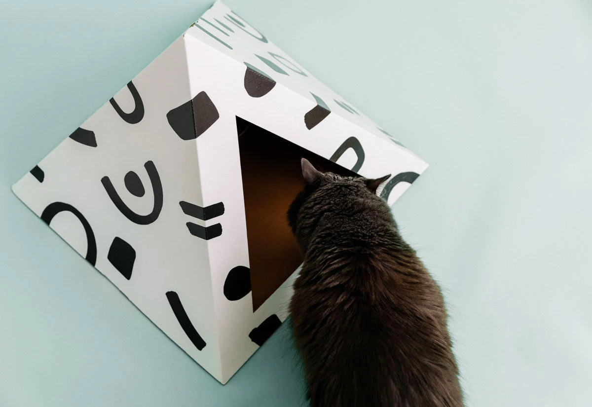 'Doodle' Cardboard Cat Pyramid - Image 4