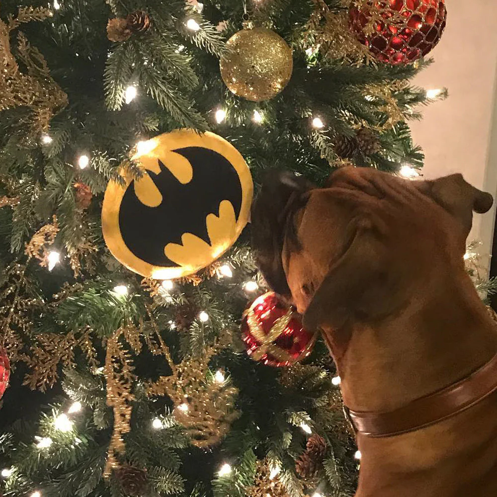 DTPT-BMDV Dog Toy Squeaky Plush - Batman Bat Icon Yellow Black - Image 5