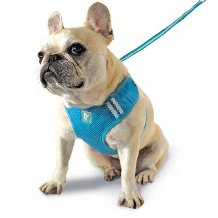 EasyGO Basic - Image 14