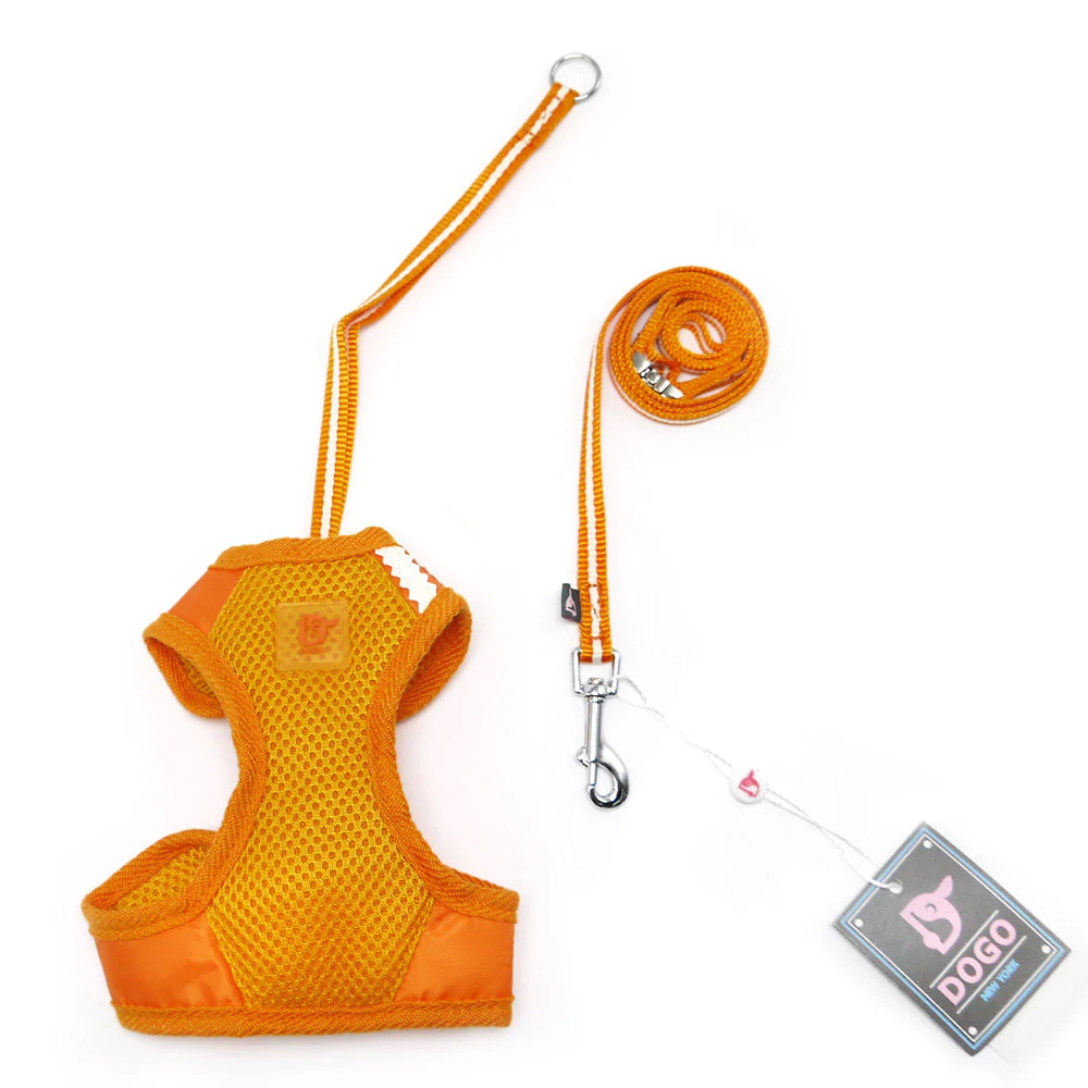 EasyGO Basic - Image 34