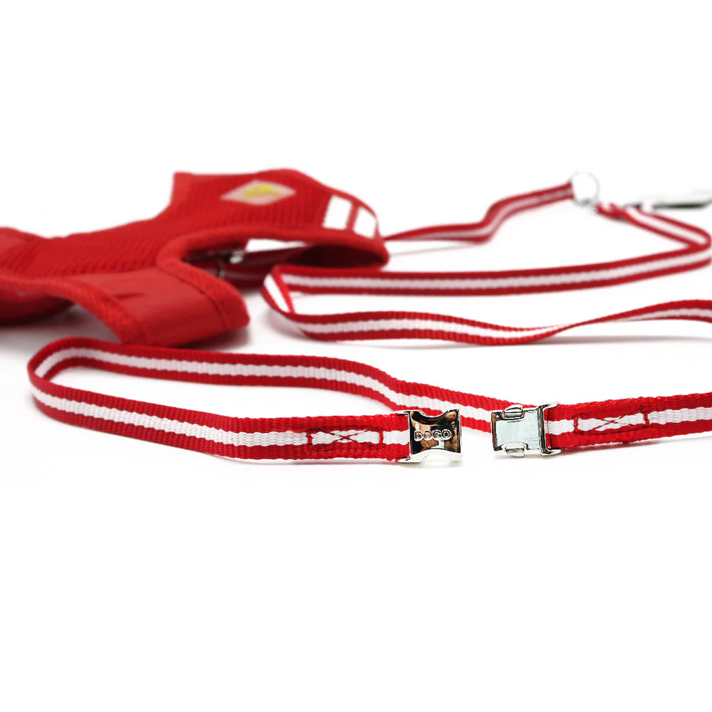 EasyGO Basic - Image 4
