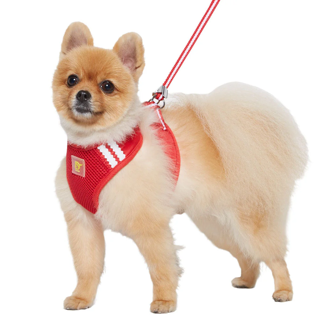 EasyGO Basic - Image 61