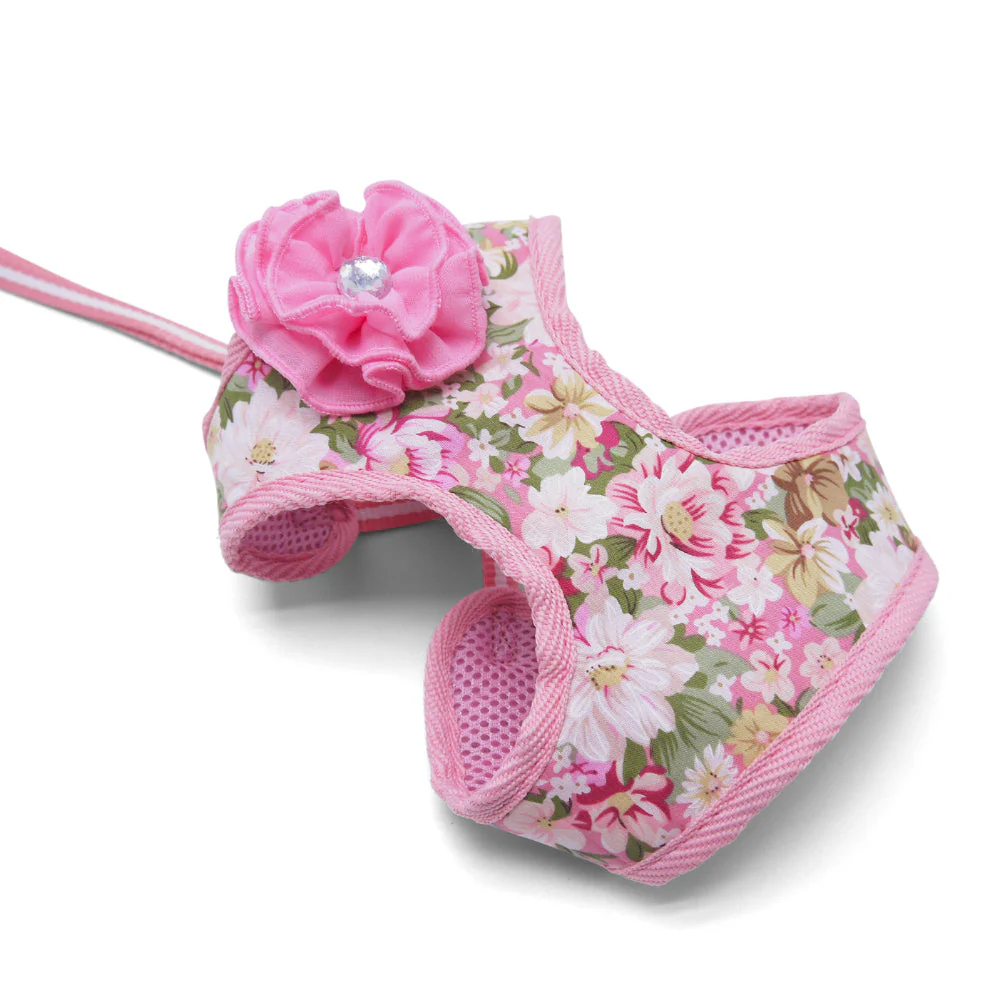 EasyGO Blossom - Image 2