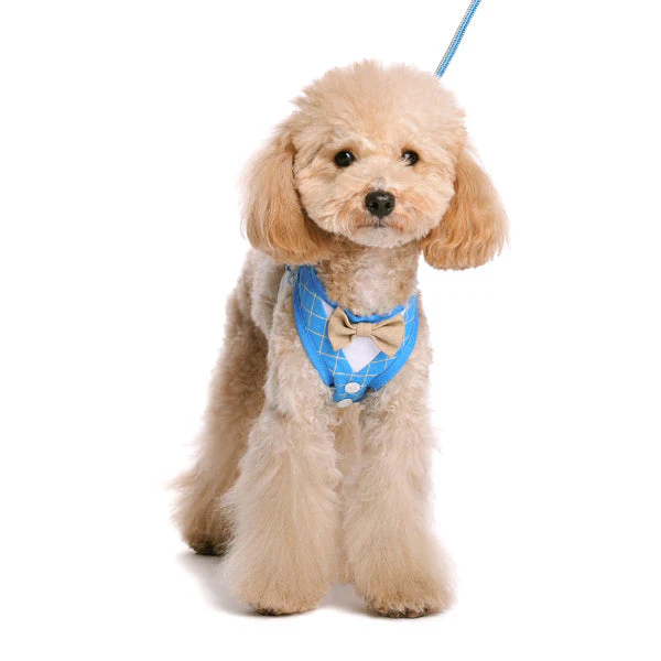 EasyGO Bowtie - Image 13
