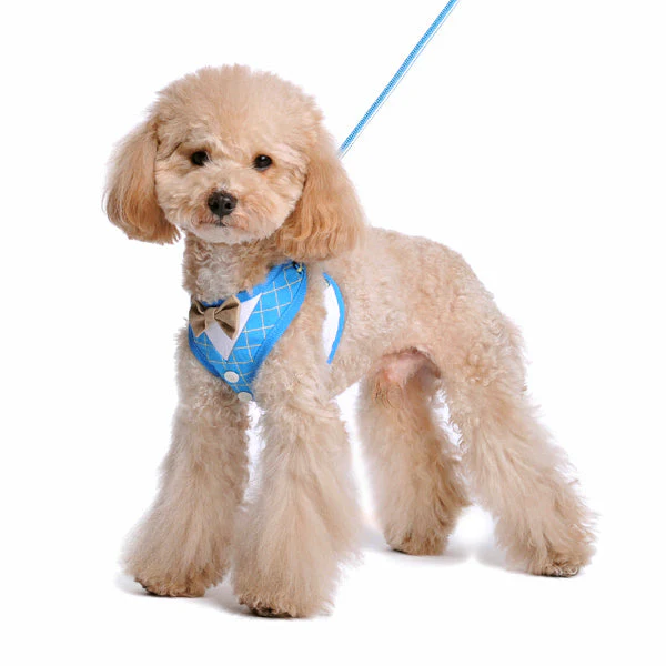 EasyGO Bowtie - Image 14