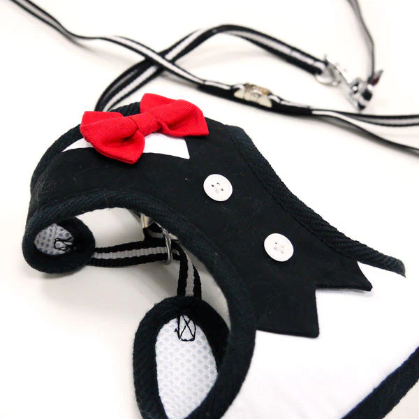 EasyGO Bowtie - Image 3
