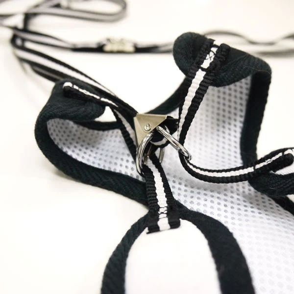 EasyGO Bowtie - Image 4