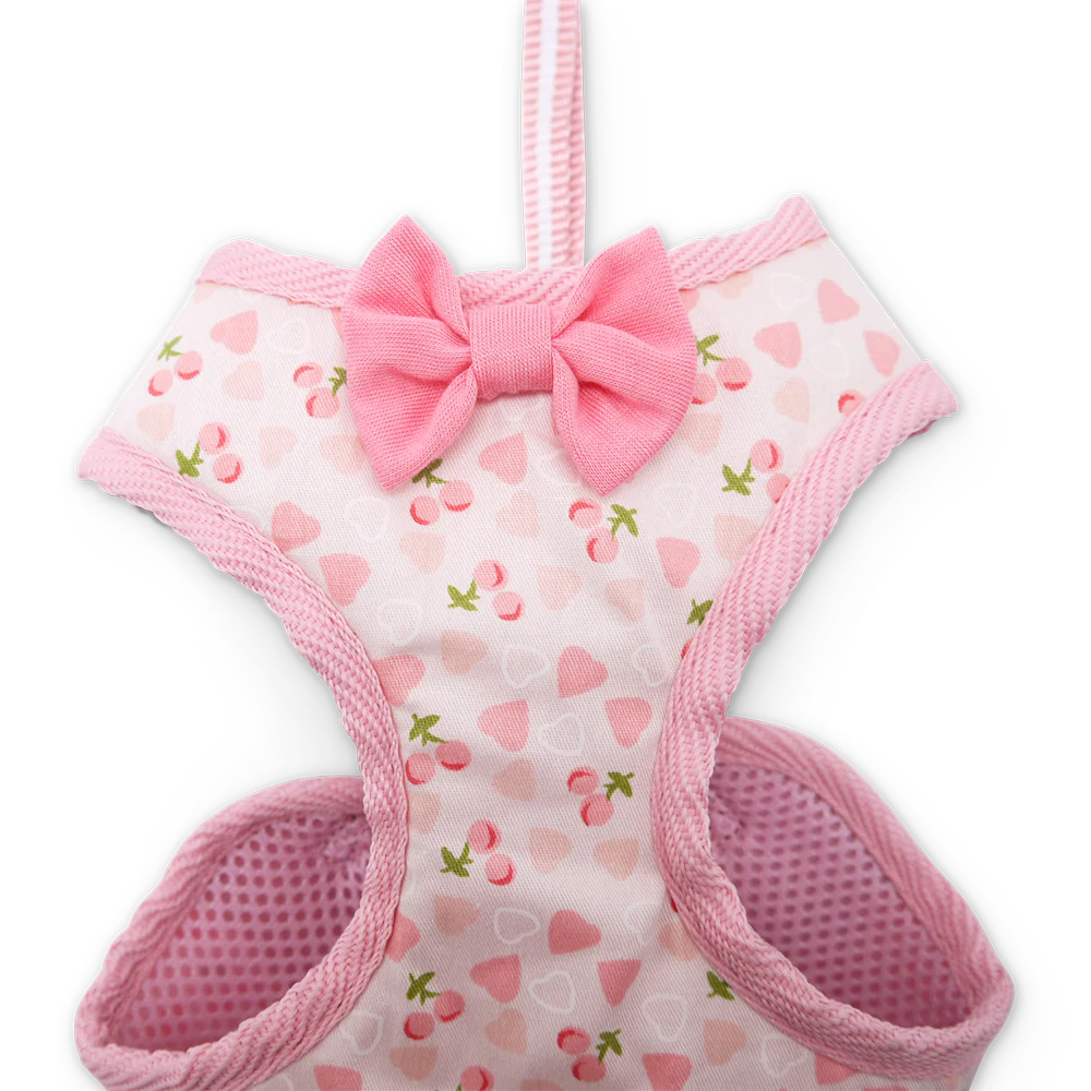 EasyGO Cherish Heart - Image 4