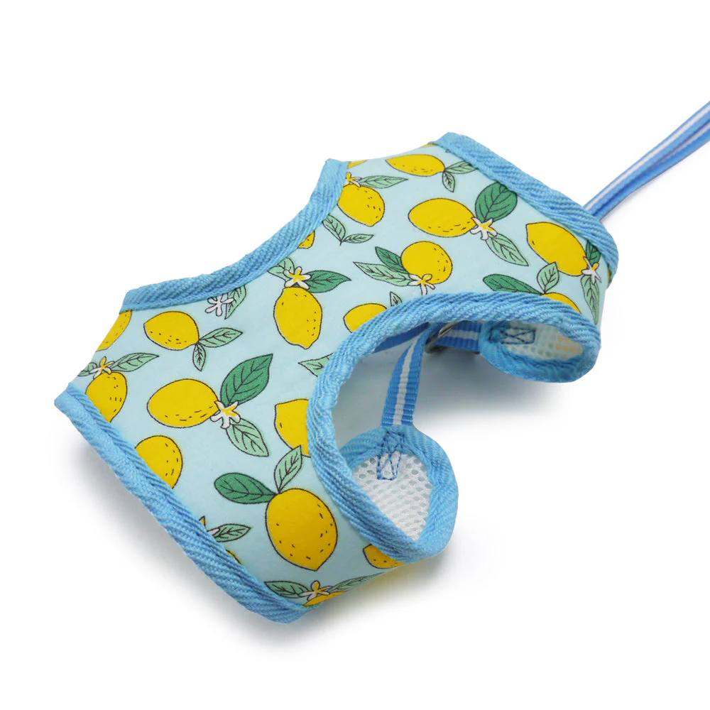 EasyGO Lemon - Image 3